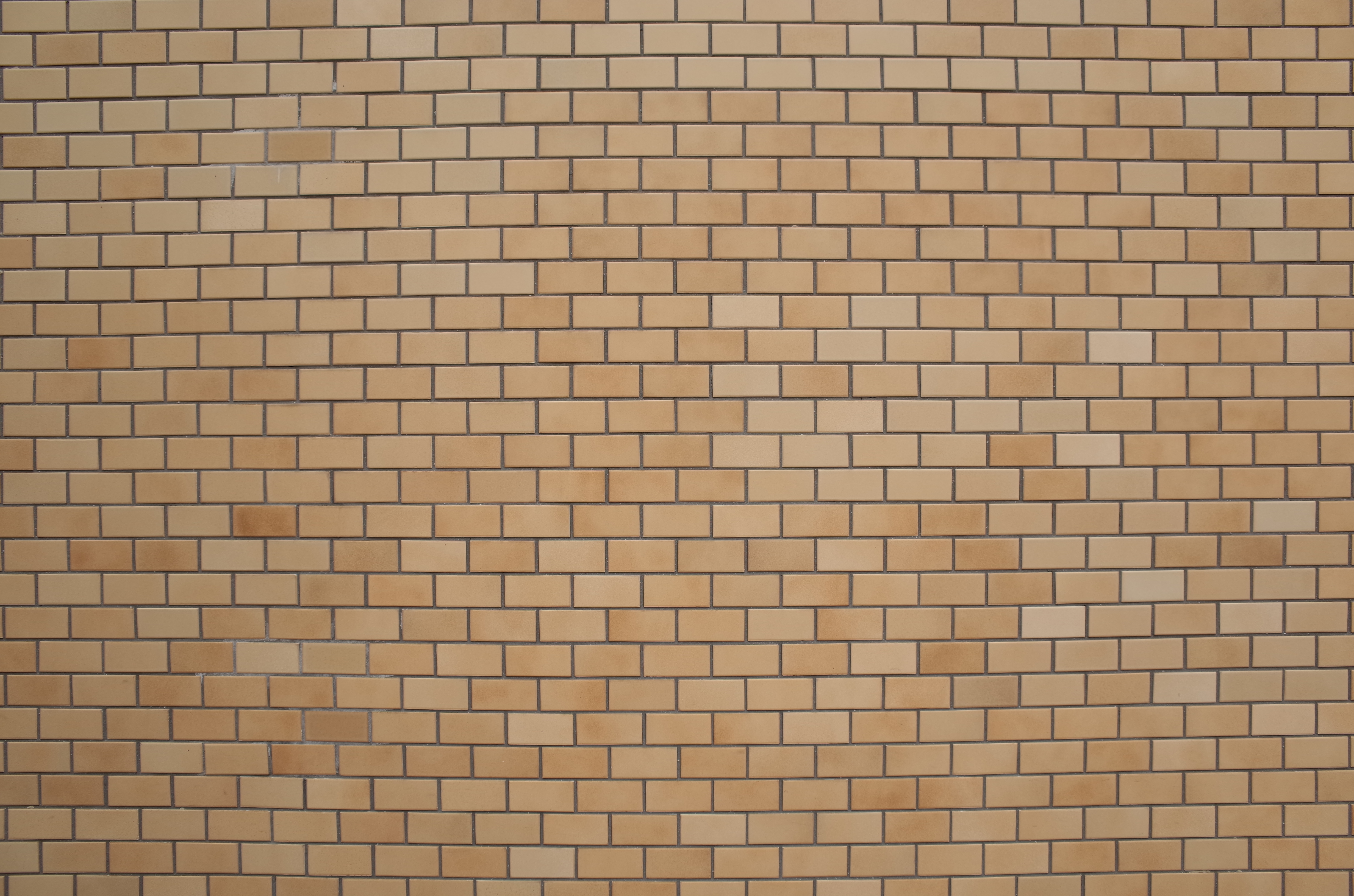 GR / 約6.1MB / 4,928×3,264 / 1/160秒 / F4 / +0.3EV / ISO100 / 13.7mm