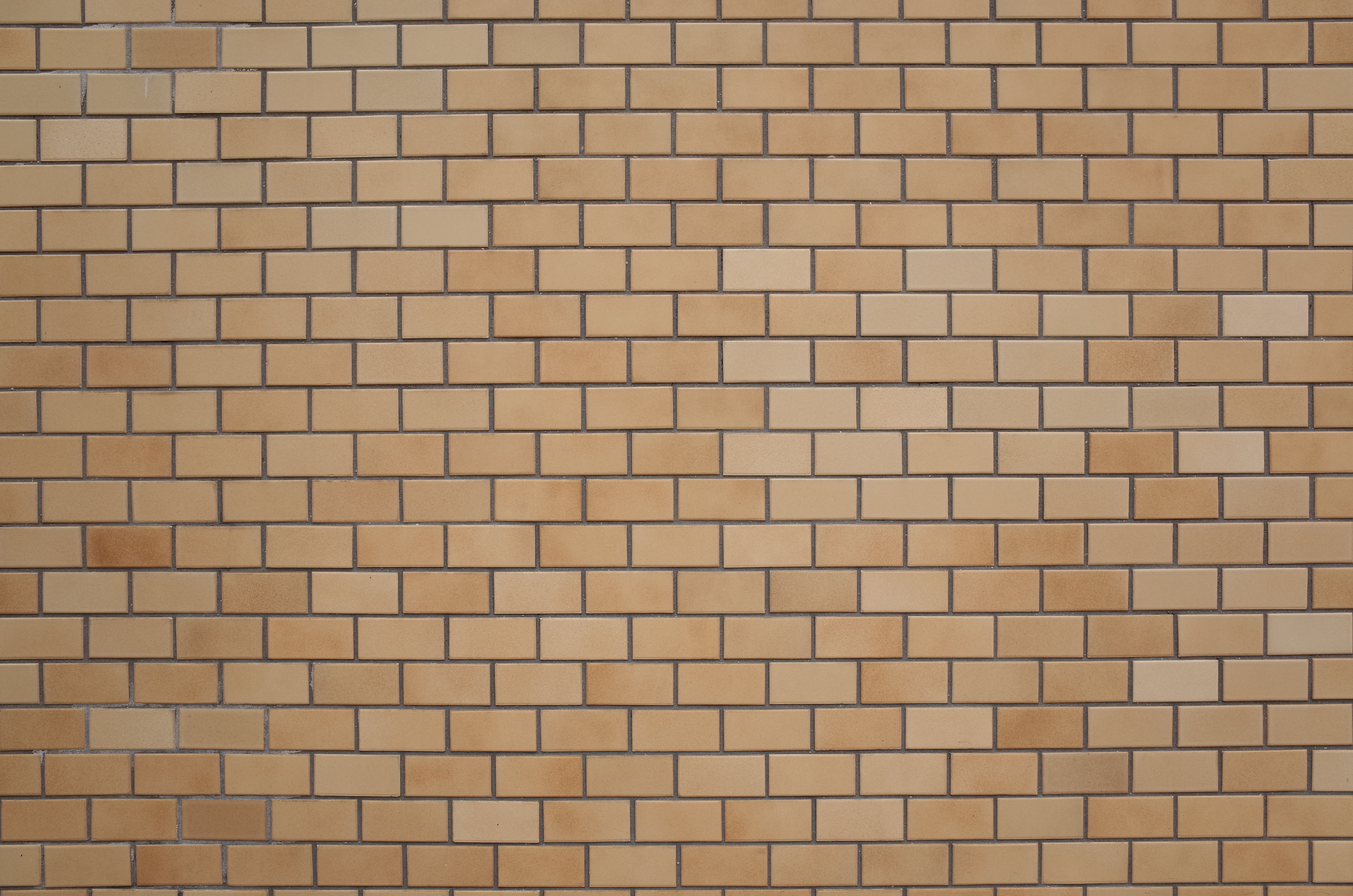 GR / 約6MB / 4,928×3,264 / 1/90秒 / F5.6 / +0.3EV / ISO100 / 18.3mm