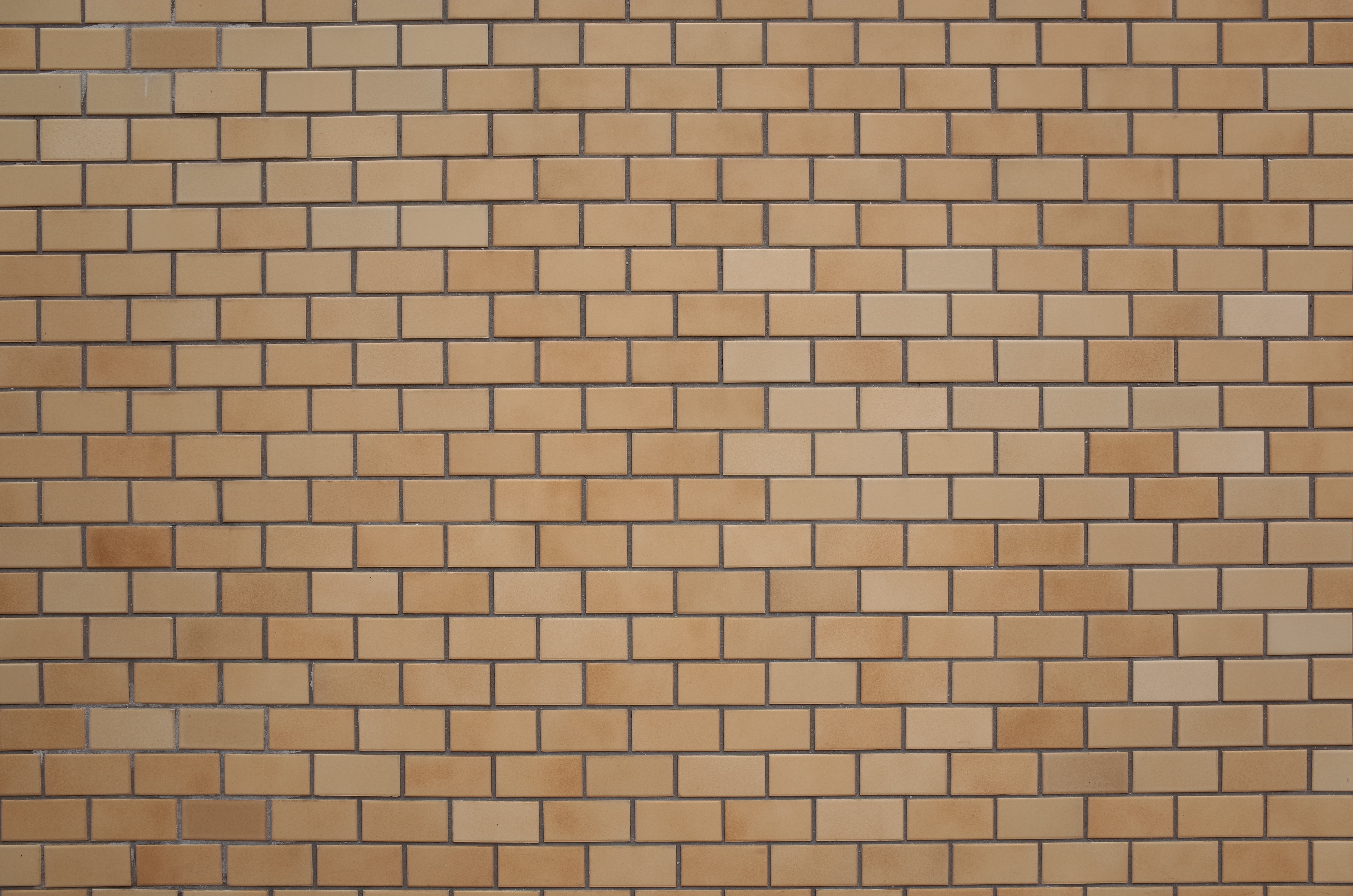 GR / 約5.9MB / 4,928×3,264 / 1/45秒 / F8 / +0.3EV / ISO100 / 18.3mm