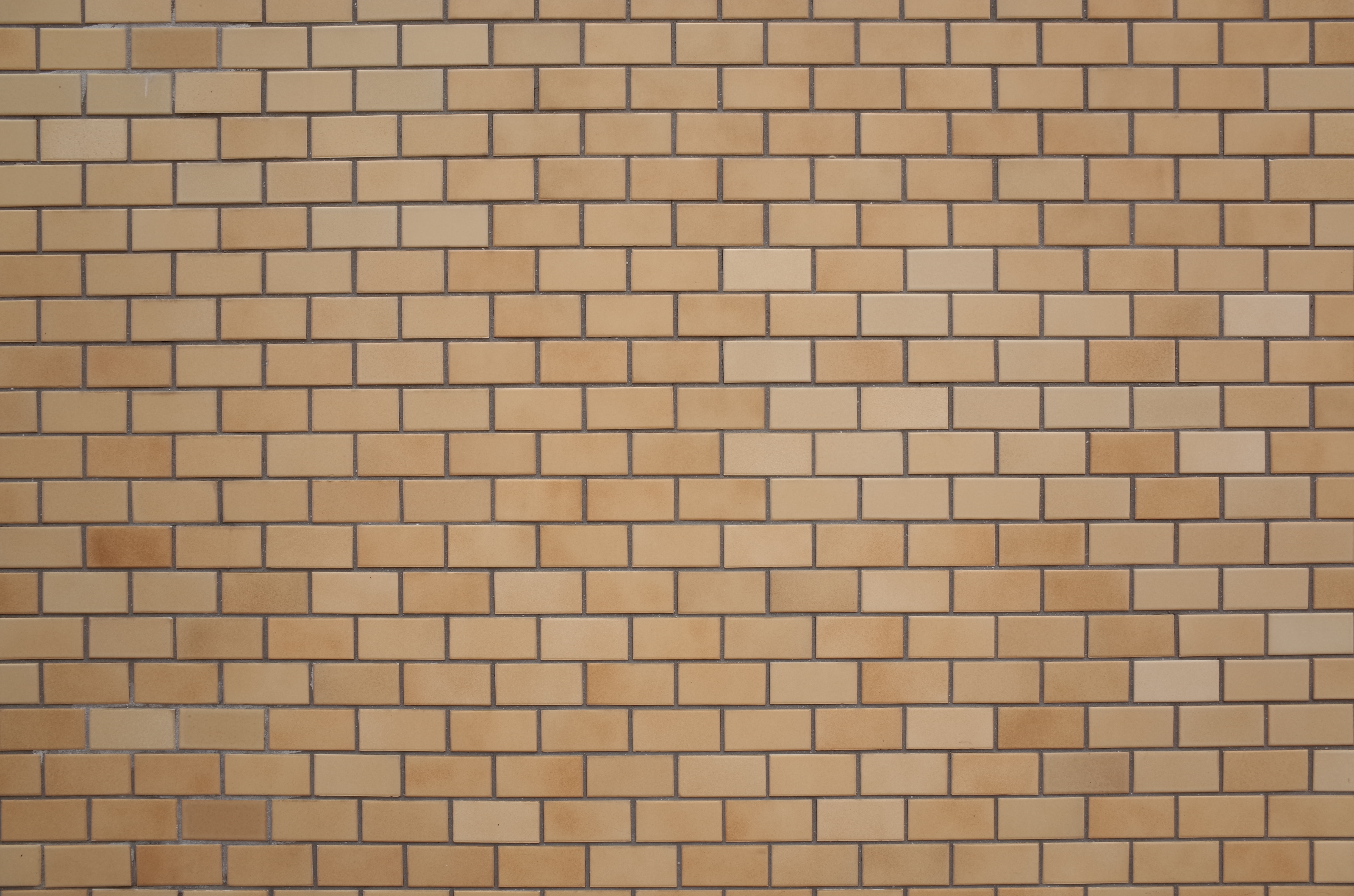 GR / 約6MB / 4,928×3,264 / 1/10秒 / F16 / +0.3EV / ISO100 / 18.3mm