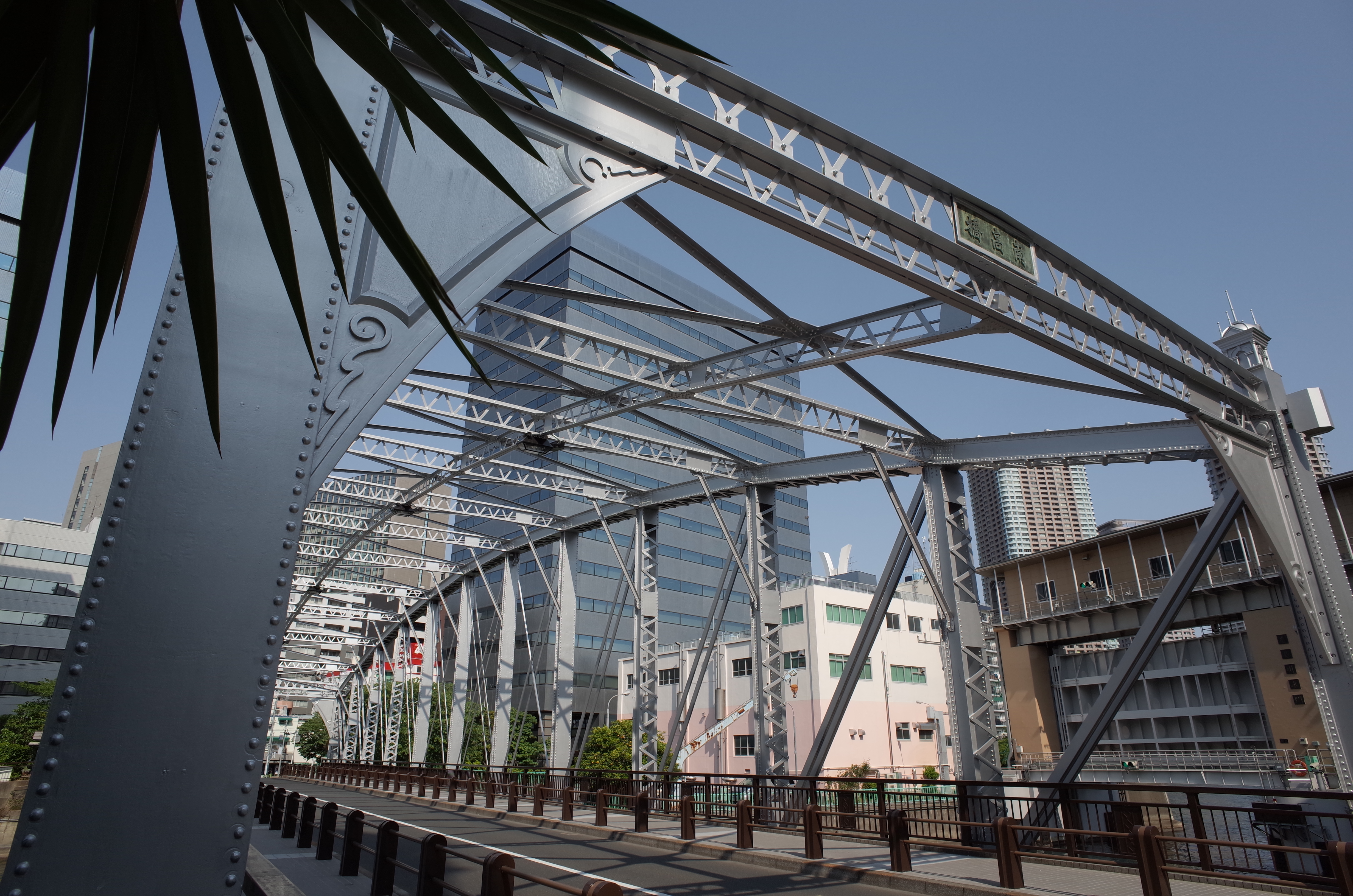 GR / 約6.1MB / 4,928×3,264 / 1/250秒 / F8 / 0EV / ISO100 / 13.7mm