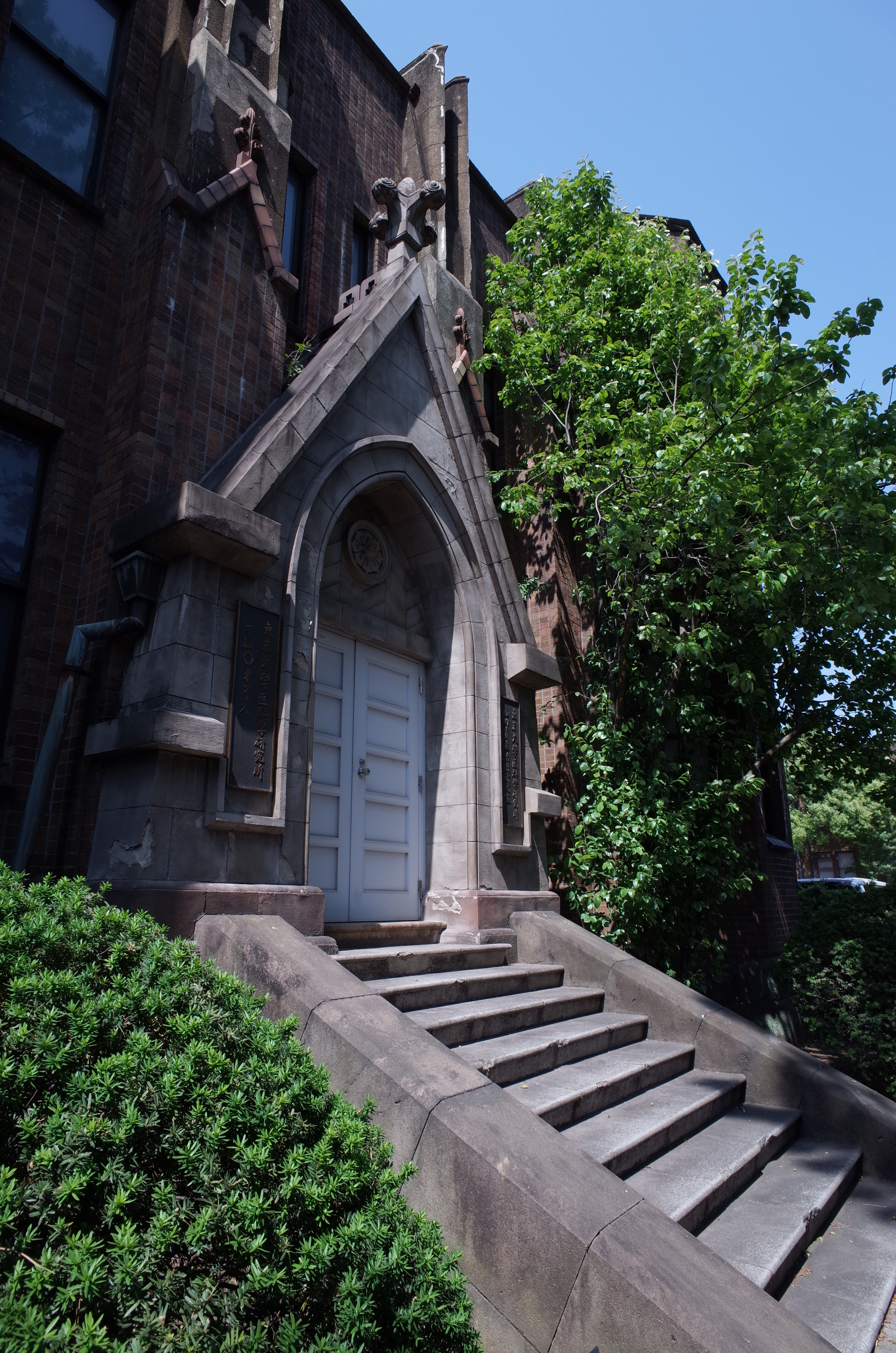 GR / 約6.4MB / 3,264×4,928 / 1/125秒 / F8 / -0.3EV / ISO100 / 13.7mm