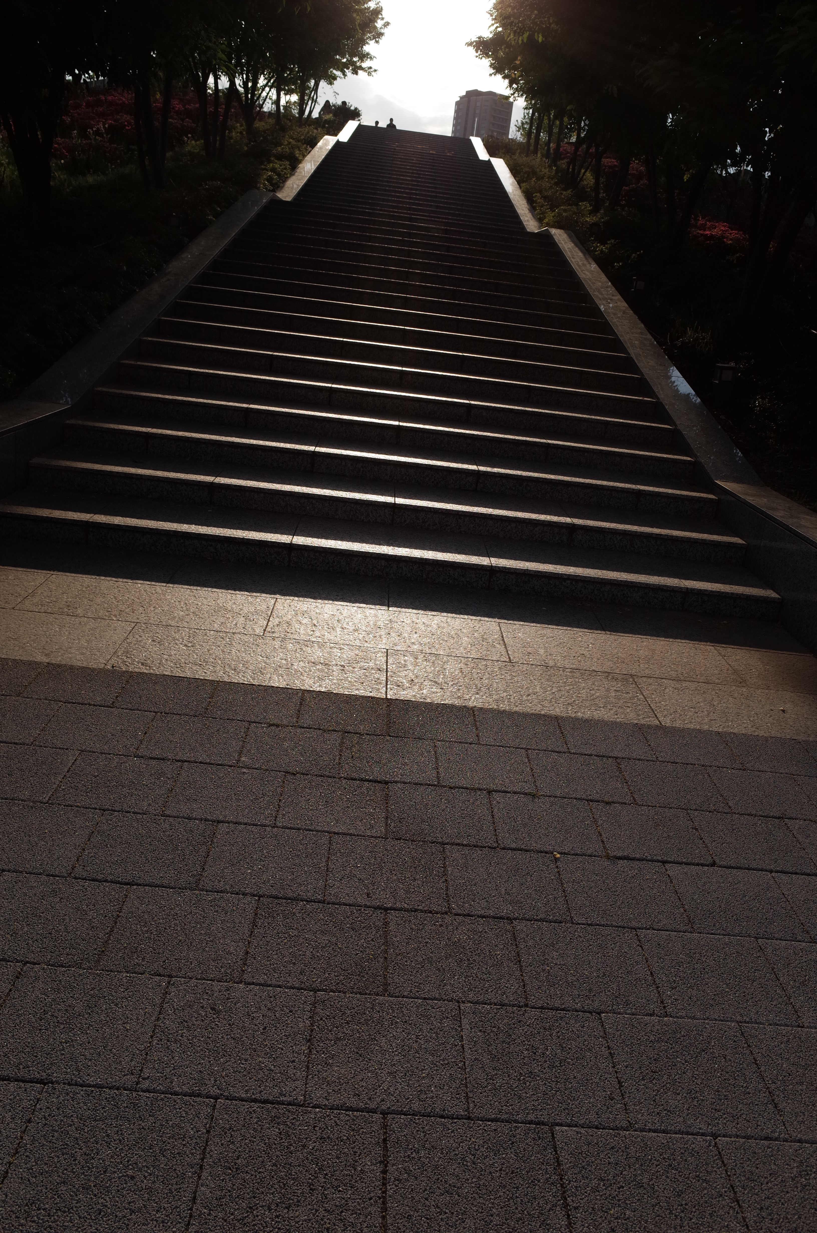 GR / 約6MB / 3,264×4,928 / 1/640秒 / F5.6 / -1EV / ISO100 / 18.3mm