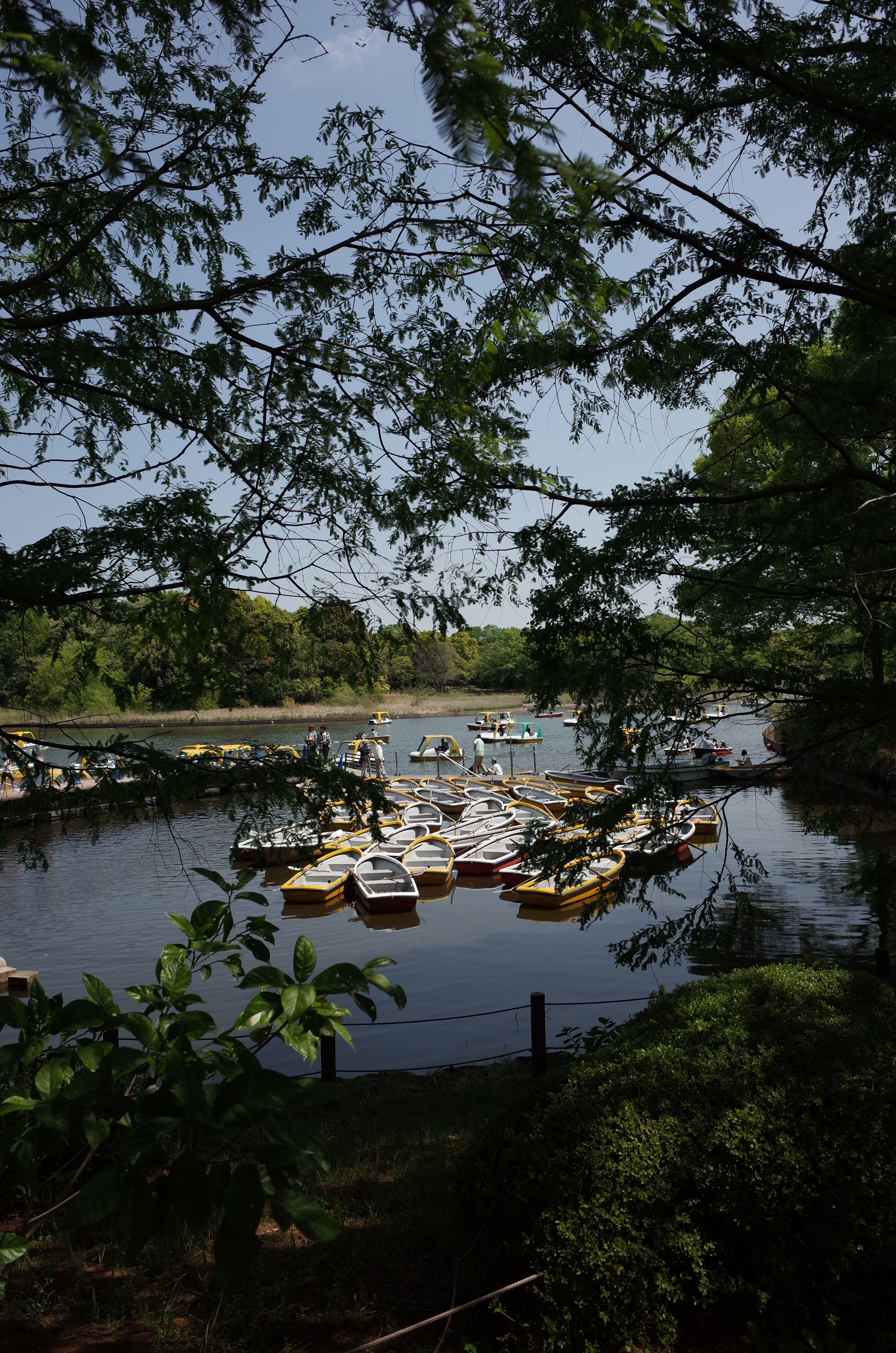 GR / 約6MB / 3,264×4,928 / 1/1,000秒 / F4 / -1EV / ISO100 / 18.3mm