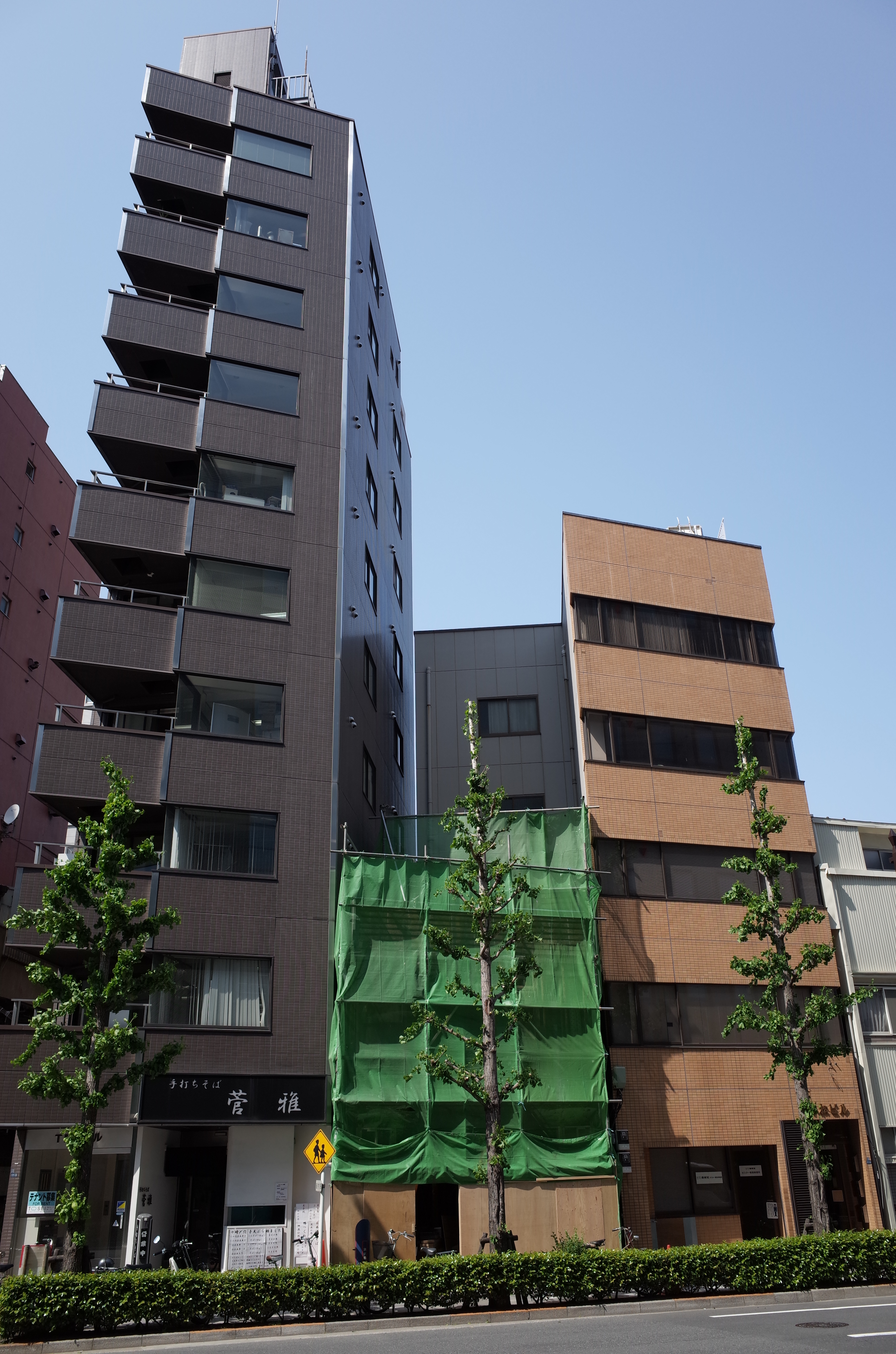 GR / 約6MB / 3,264×4,928 / 1/250秒 / F5.6 / 0EV / ISO100 / 18.3mm