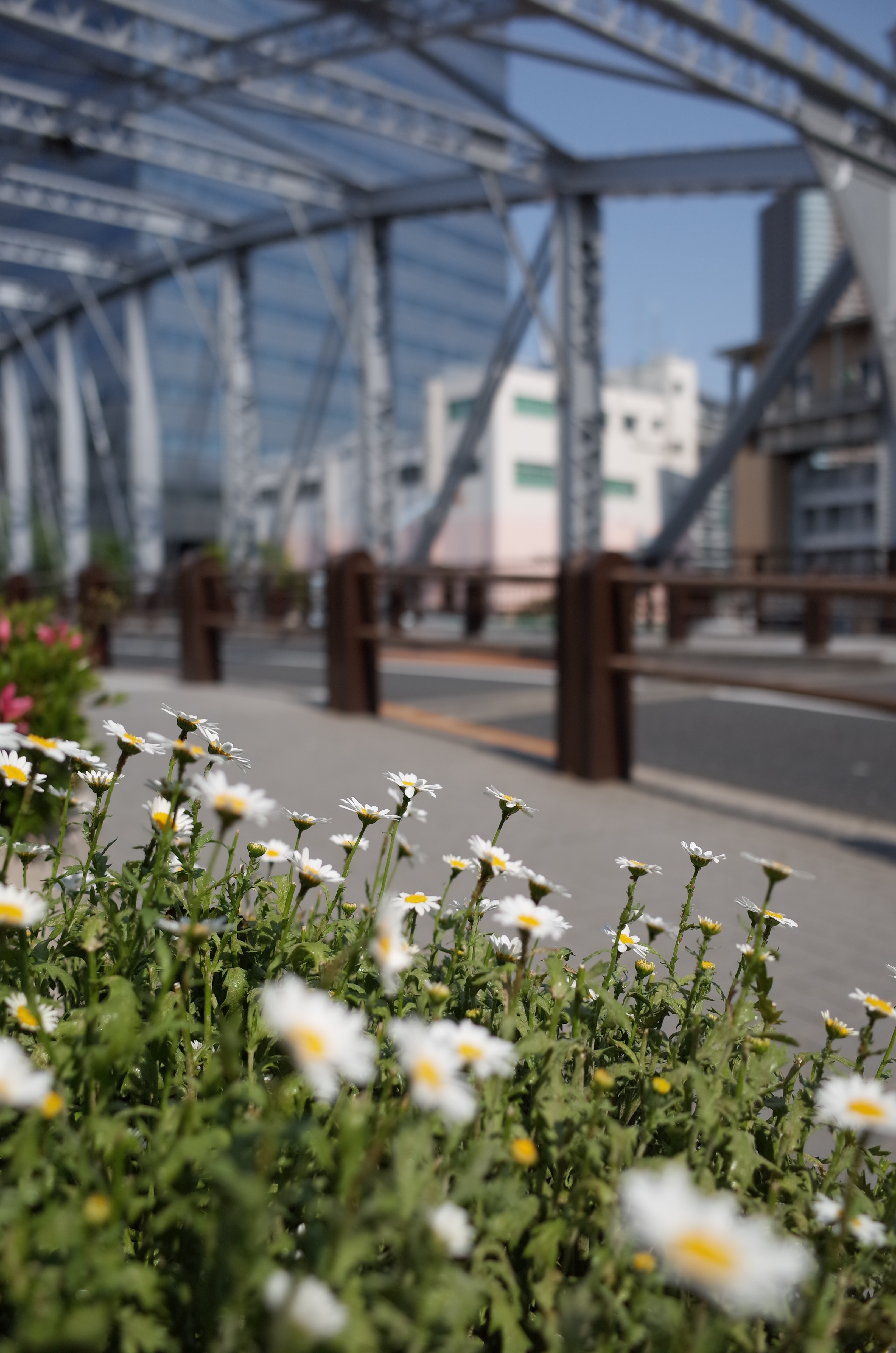 GR / 約5.4MB / 3,264×4,928 / 1/2,000秒 / F2.8 / -0.2EV / ISO100 / 18.3mm