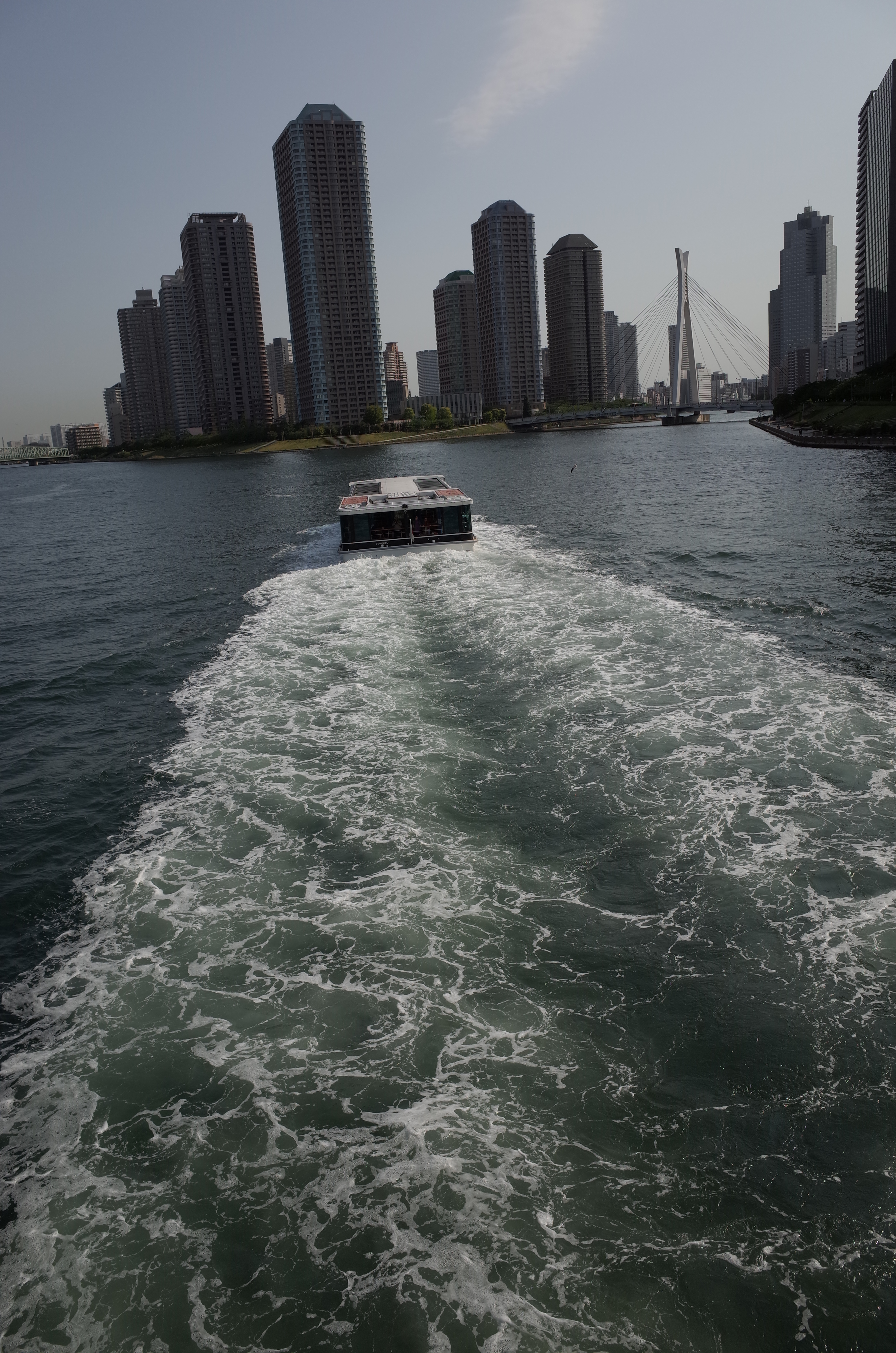 GR / 約6MB / 3,264×4,928 / 1/1,000秒 / F5.6 / 0EV / ISO100 / 18.3mm