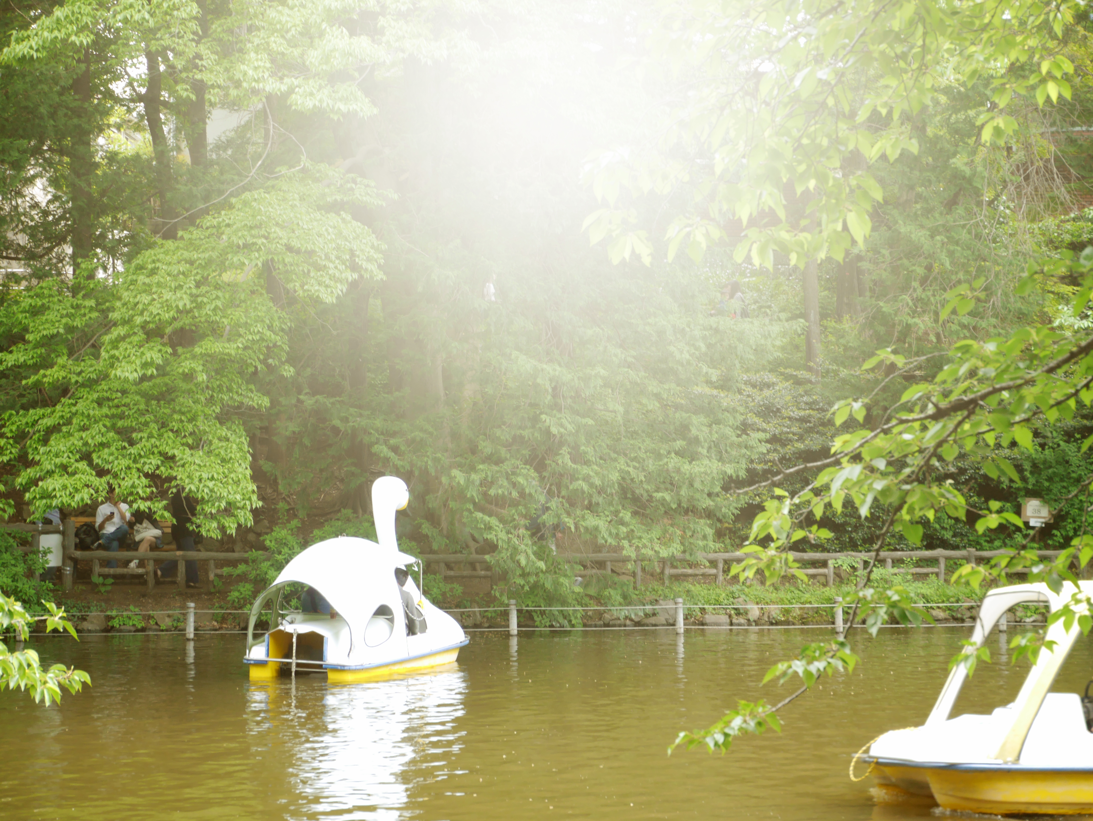 【レタッチ前】右下に写り込んでしまったボートの半身が邪魔ですね