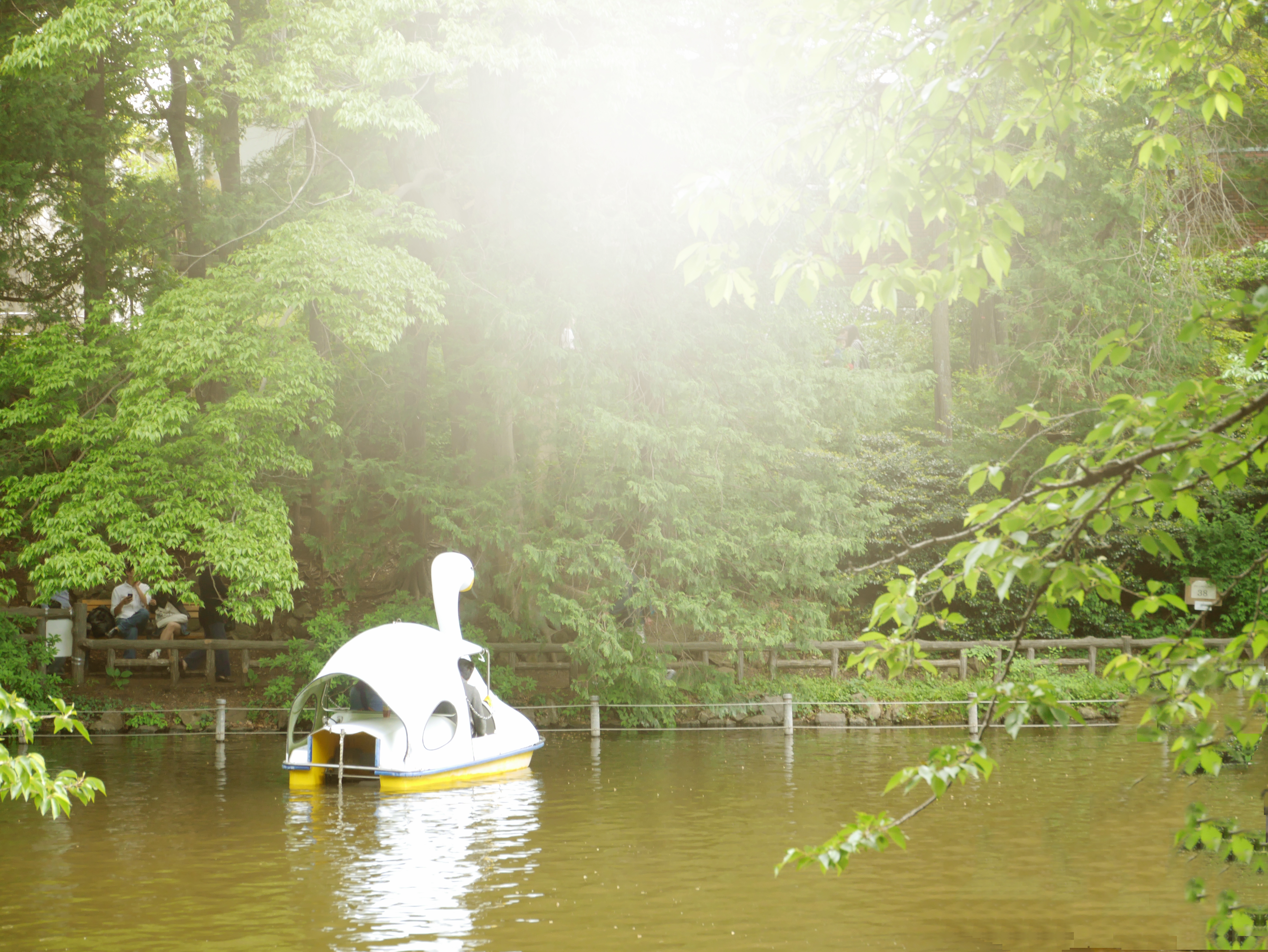 【レタッチ後】パッと見た感じでは綺麗にレタッチされました。2Lサイズでは問題ない画像処理レベルでしょう