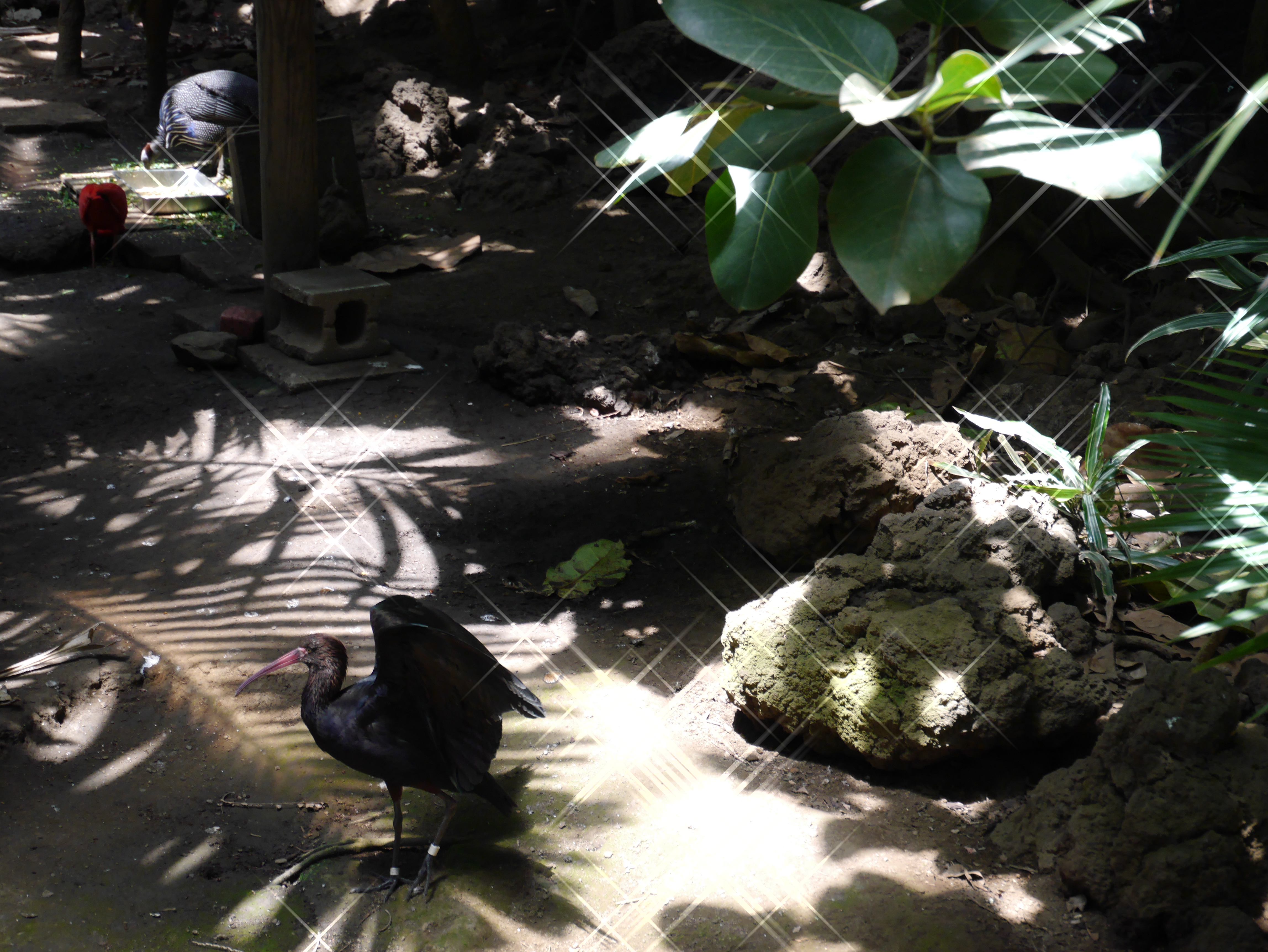 【クロスフィルター】クリエイティブコントロールのクロスフィルターで撮影。色調の無いシーンが派手になりました。DMC-GF6 / LUMIX G X VARIO PZ 14-42mm F3.5-5.6 ASPH. POWER O.I.S. / 約7.5MB / 4,592×3,448 / 1/80秒 / F5.6 / 0EV / ISO400 / 42mm