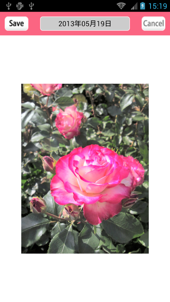 ギャラリーで選択した写真を登録しているところ。画面上部の日付部をタップすると、日付のほか、時間の指定が可能だ