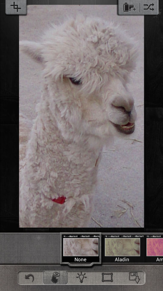 編集画面。画面下部には、「フィルタ」「エフェクト」「フレーム」を示すアイコン。そして、「戻る」「保存」アイコンがある