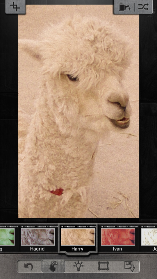 選んだ効果の種類はリアルタイムで反映される