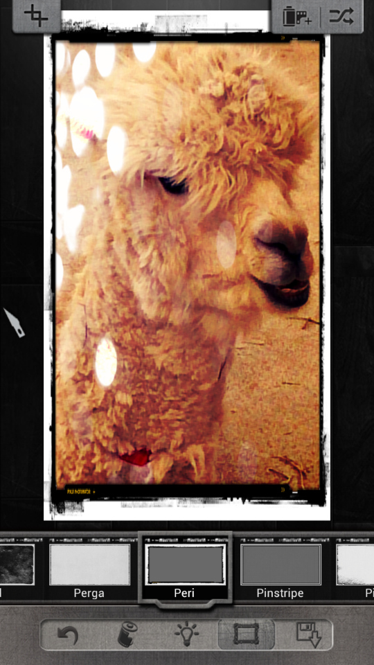 編集画面の右上にある「シャッフル」アイコンをタップすると、「フィルタ」「エフェクト」「フレーム」の要素がランダムで付加される