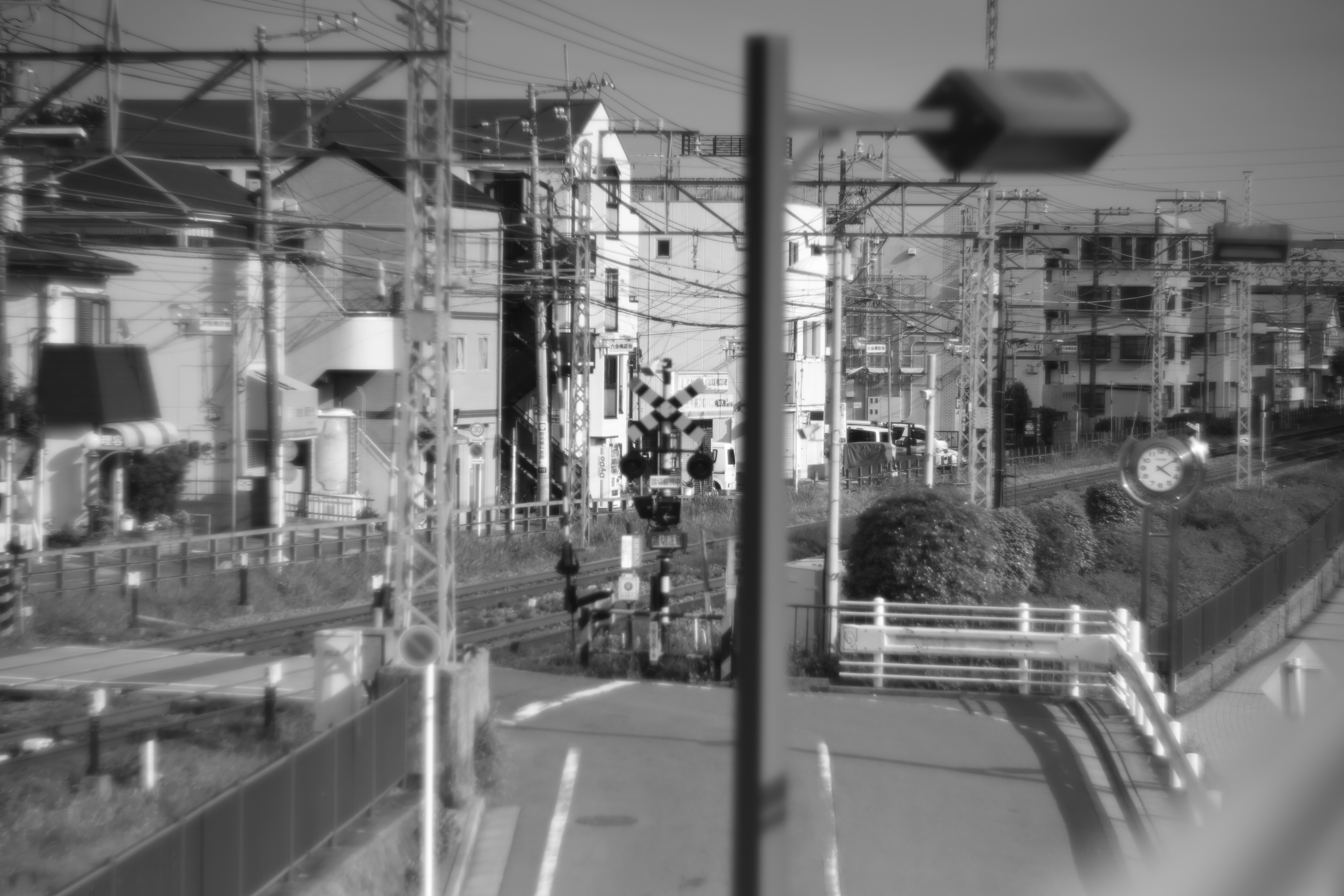 SD1 Merrill / Helios 85mm F1.5 / 約6.7MB / 4,704×3,136 / 1/6,000秒 / F1.5 / 0EV / ISO100 / 絞り優先AE / WB：晴れ / 85mm