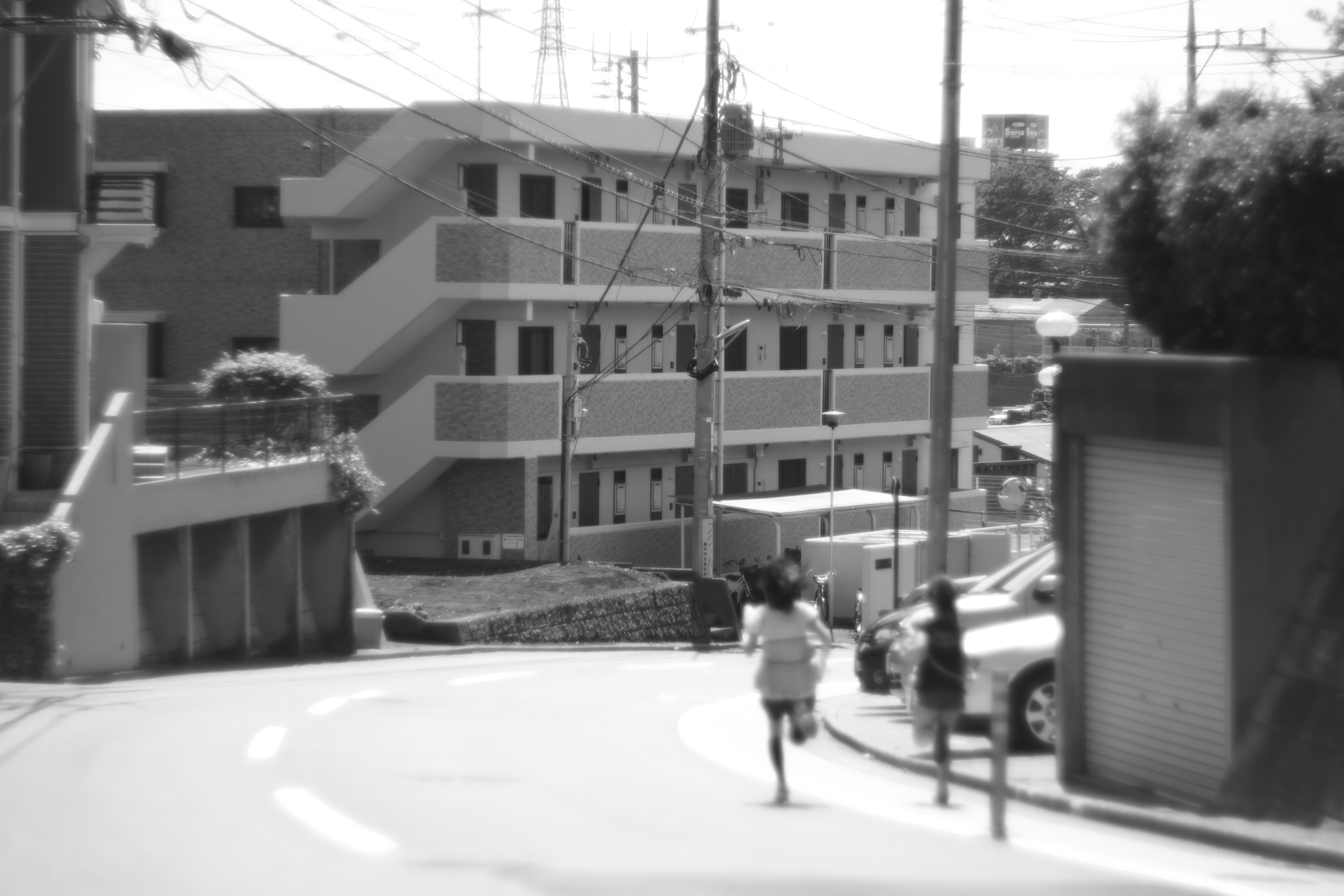 SD1 Merrill / Helios 85mm F1.5 / 約5.2MB / 4,704×3,136 / 1/2,000秒 / F1.5 / 0EV / ISO100 / 絞り優先AE / WB：晴れ / 85mm