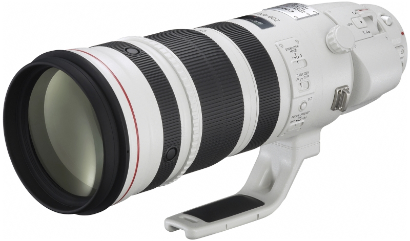EF 200-400mm F4 L IS USM エクステンダー1.4X