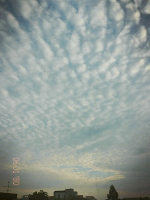 フォトアプリガイド:TimeCamera for iPhone(iOS) - デジカメ Watch Watch