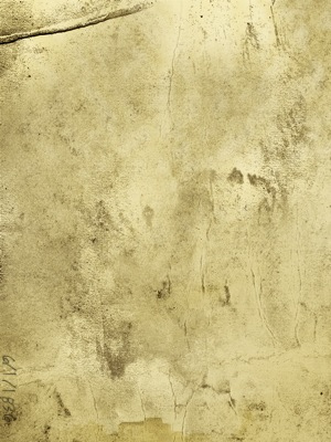 フォトアプリガイド:TimeCamera for iPhone(iOS) - デジカメ Watch Watch