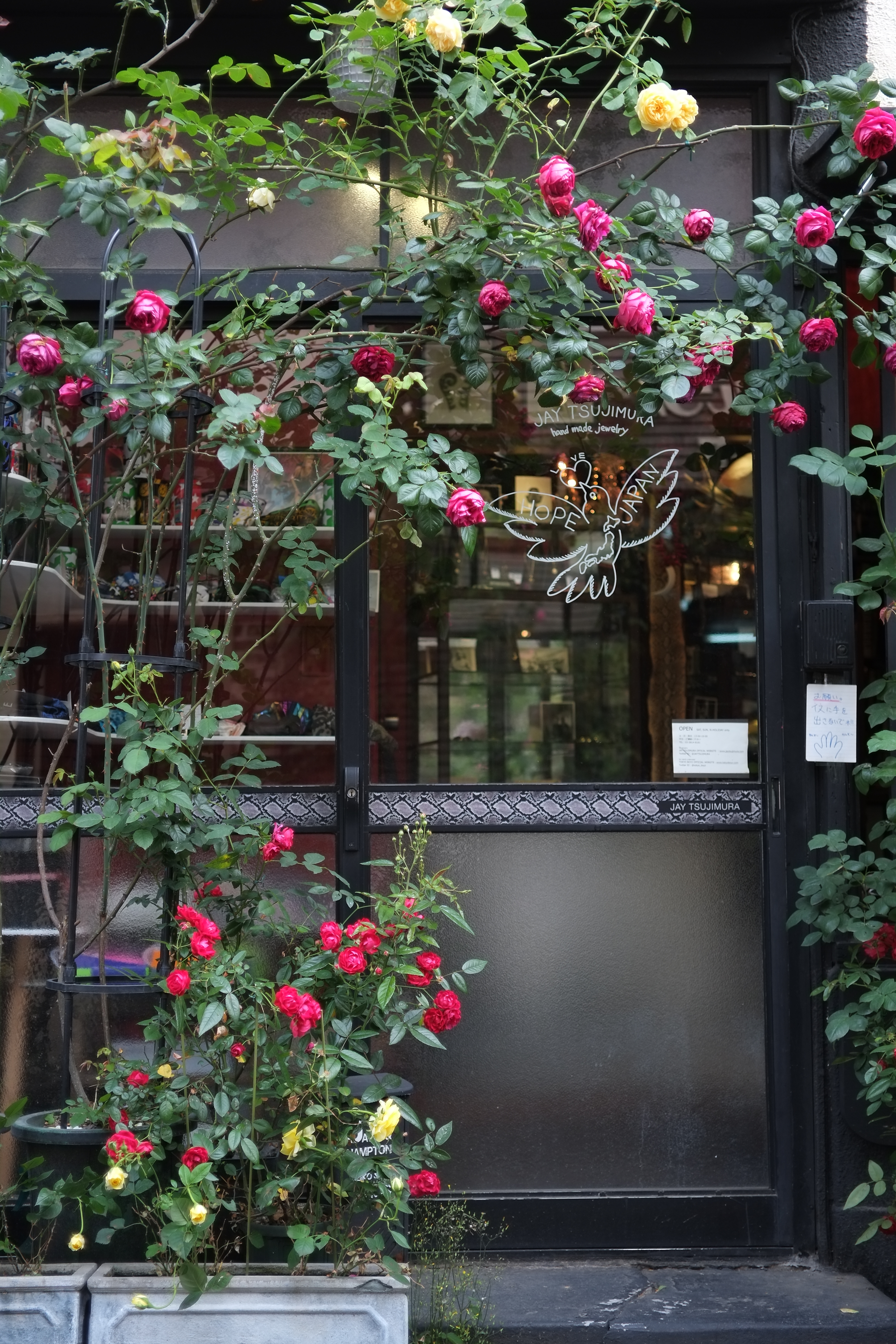 X-Pro1 / Touit 1.8/32 / 約5.9MB / 3,264×4,896 / 1/250秒 / F2 / -0.7EV / ISO200 / 絞り優先AE / WB：オート / 32mm