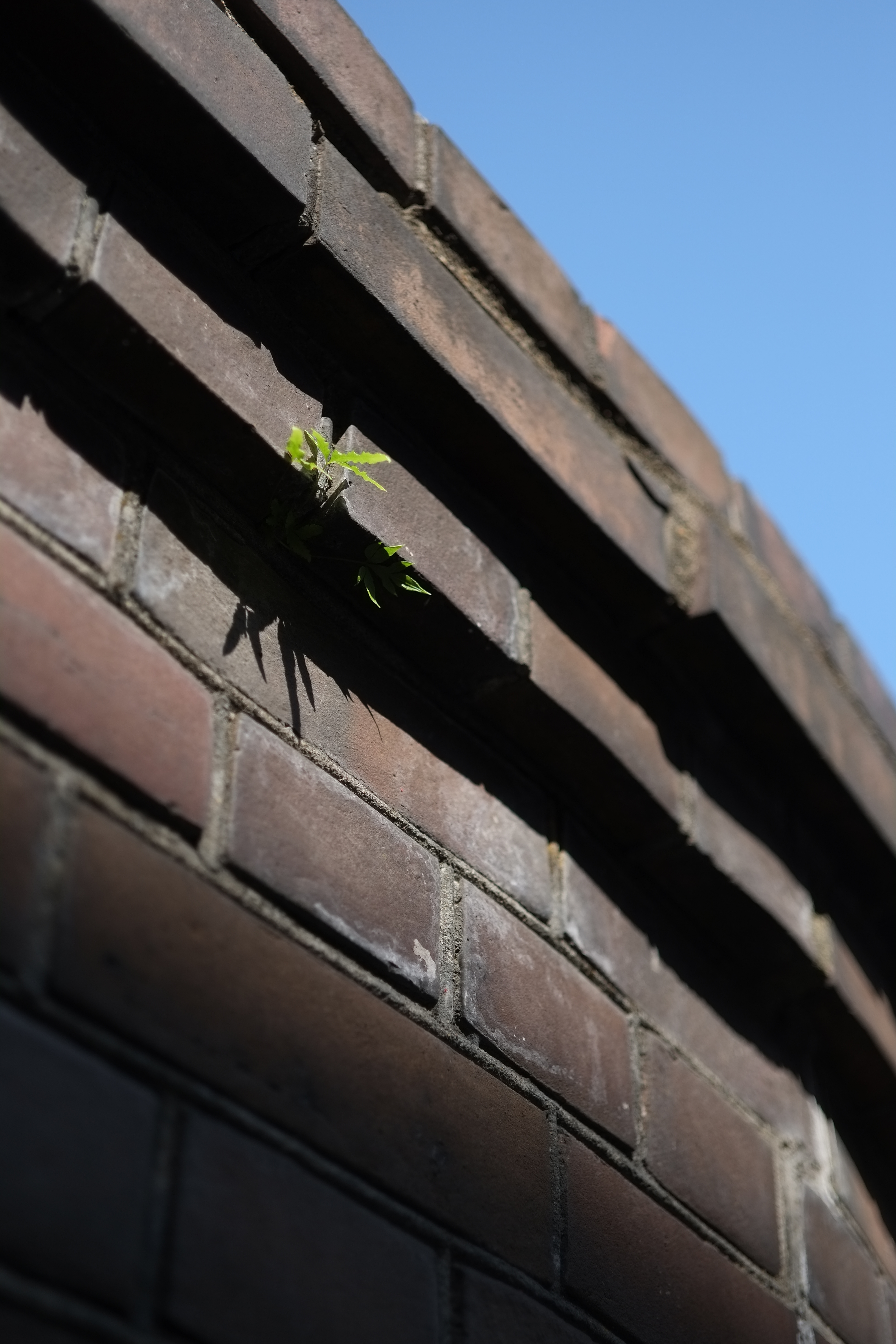 X-Pro1 / Touit 1.8/32 / 約3.3MB / 3,264×4,896 / 1/3500秒 / F2 / -0.7EV / ISO200 / 絞り優先AE / WB：オート / 32mm