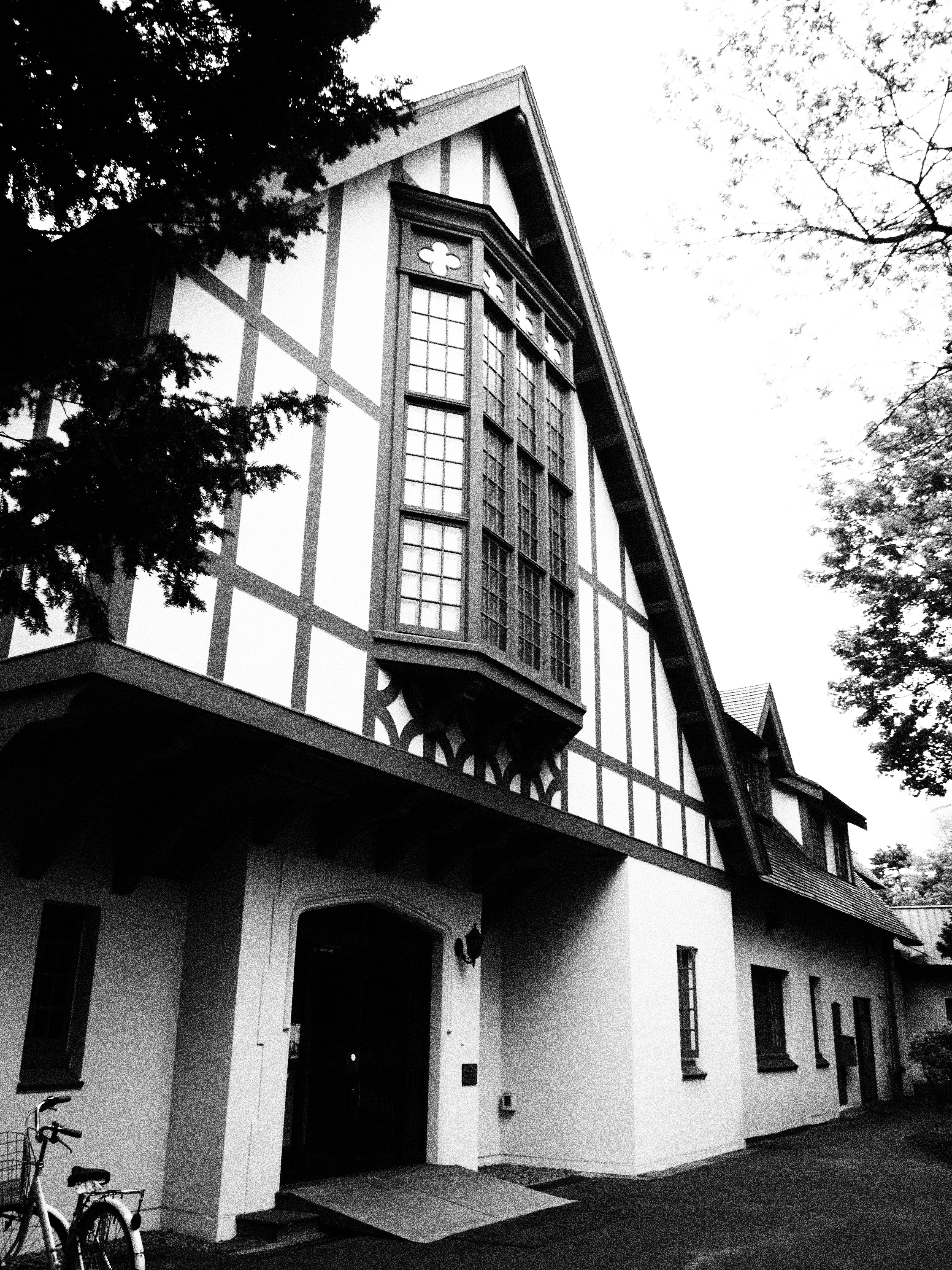 ピクチャーモード：ラフモノクローム