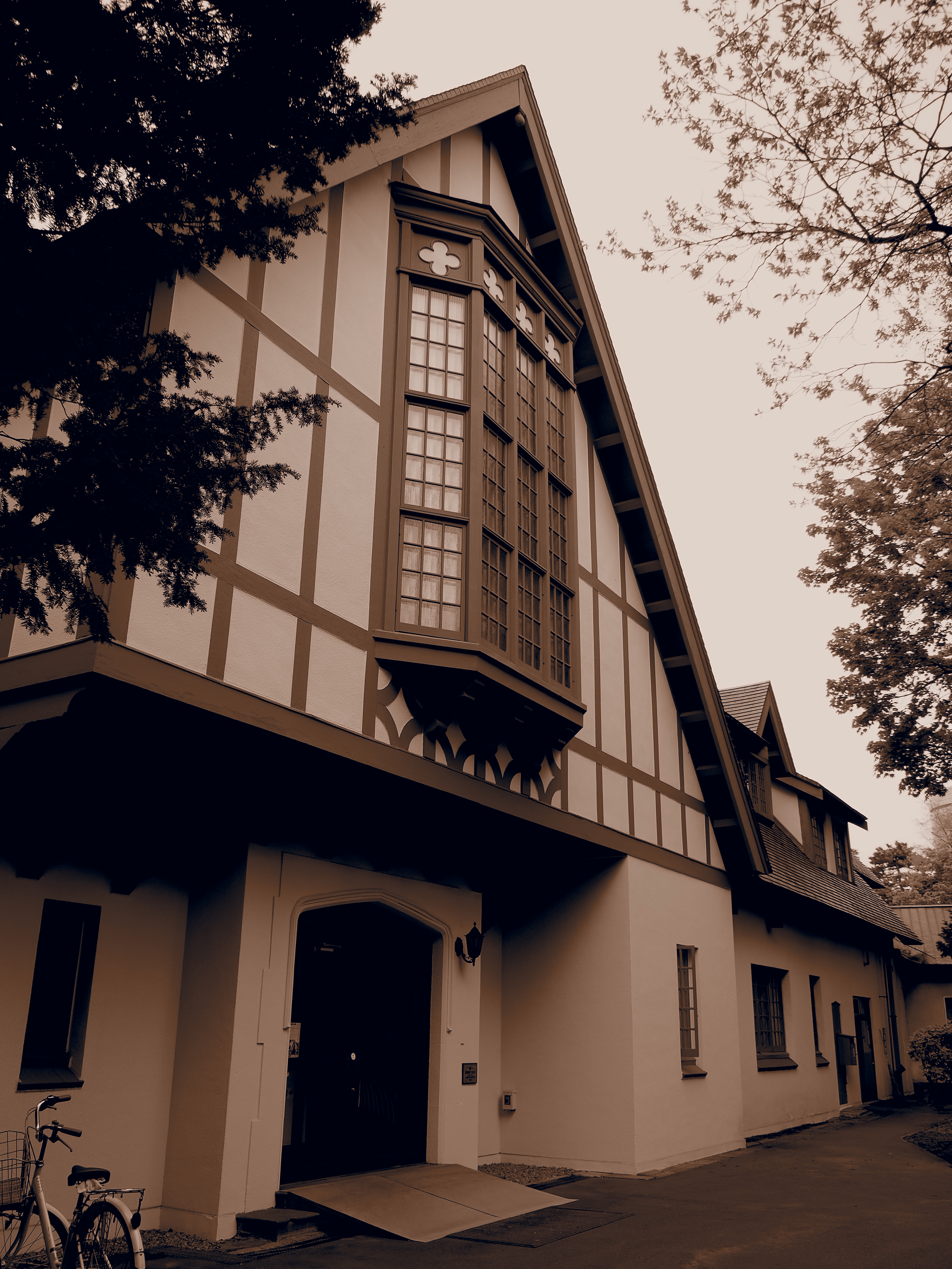 ピクチャーモード：ジェントルセピア