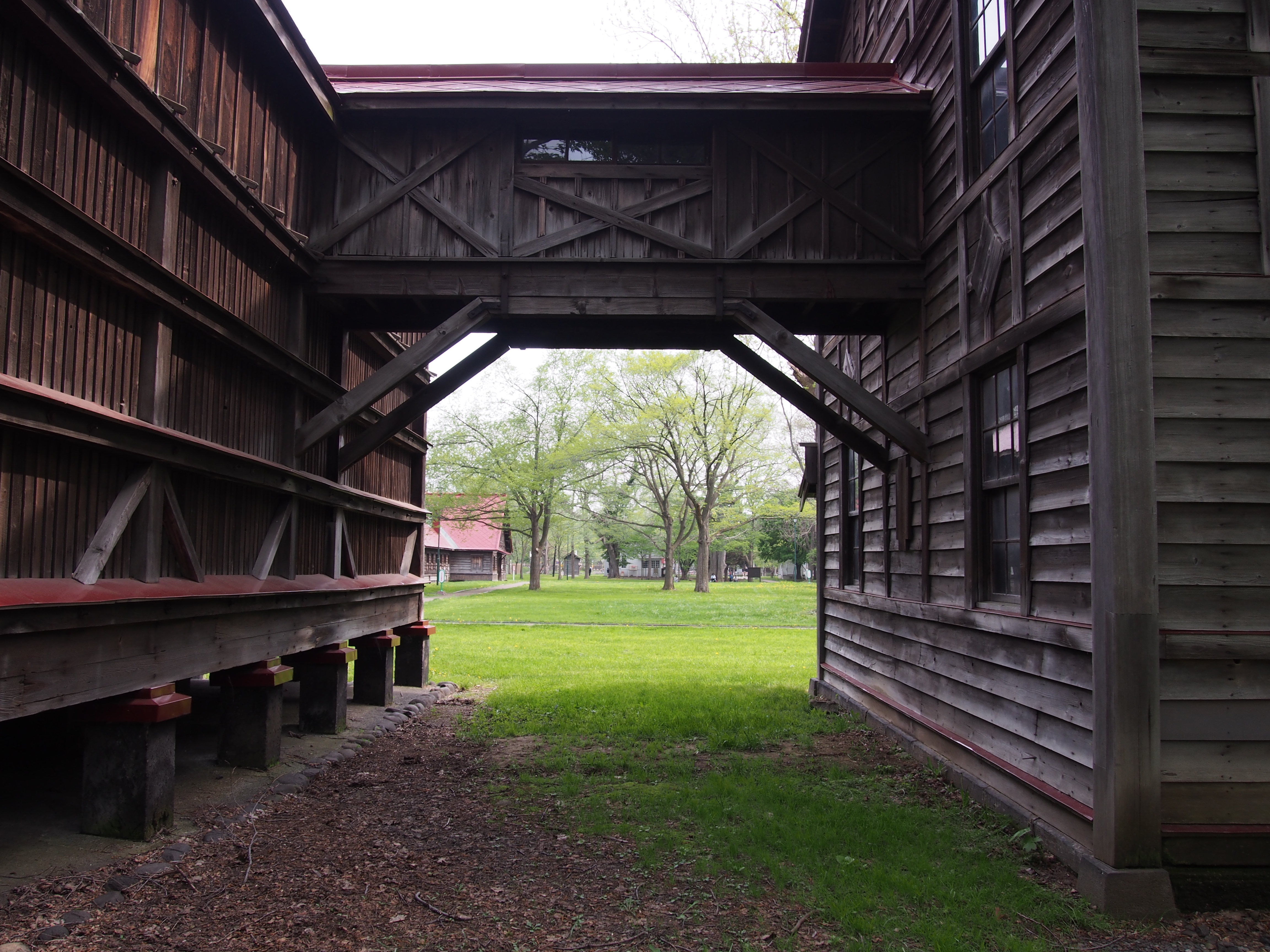 マイクロフォーサーズの歪曲収差はリアルタイム補正なのだが、オリンパスのはたぶん意図的に少し残してある。どうせなら完全補正すればいいのにっていつも思う。E-PL6 / M.ZUIKO DIGITAL 14-42mm F3.5-5.6 II R / 4,608×3,456 / プログラムAE / 1/160秒 / F5.6 / -0.3EV / ISO200 / WB：オート / 14mm（28mm相当）