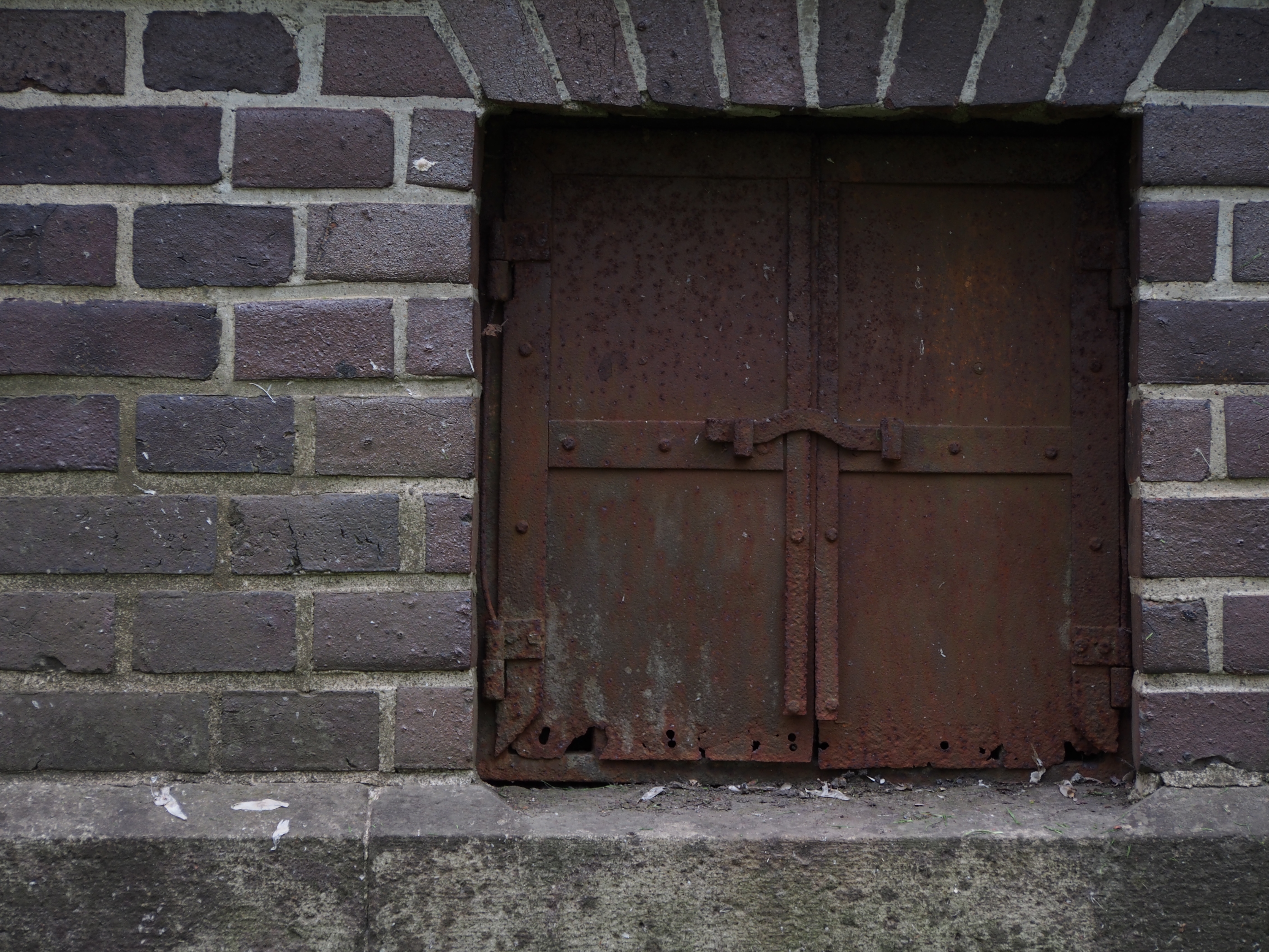 ダブルズームキットに同梱の40-150mm Rも買って損はしないレンズなので、やはりダブルズームキットで買うのがお得だと思う。E-PL6 / M.ZUIKO DIGITAL ED 40-150mm F4-5.6 R / 4,608×3,456 / 絞り優先AE / 1/125秒 / F4.8 / -1.3EV / ISO200 / WB：オート / 82mm（164mm相当）