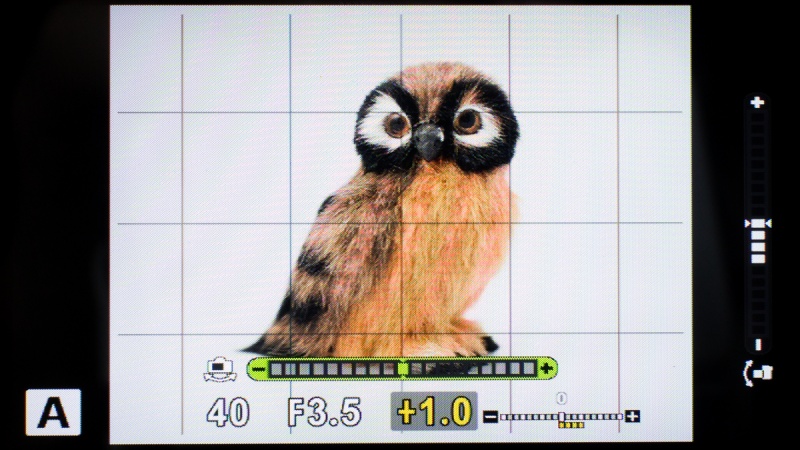 2軸式の電子水準器を内蔵。しょっちゅう傾いた写真を撮ってはボツにしている筆者にはとてもありがたい進化である。