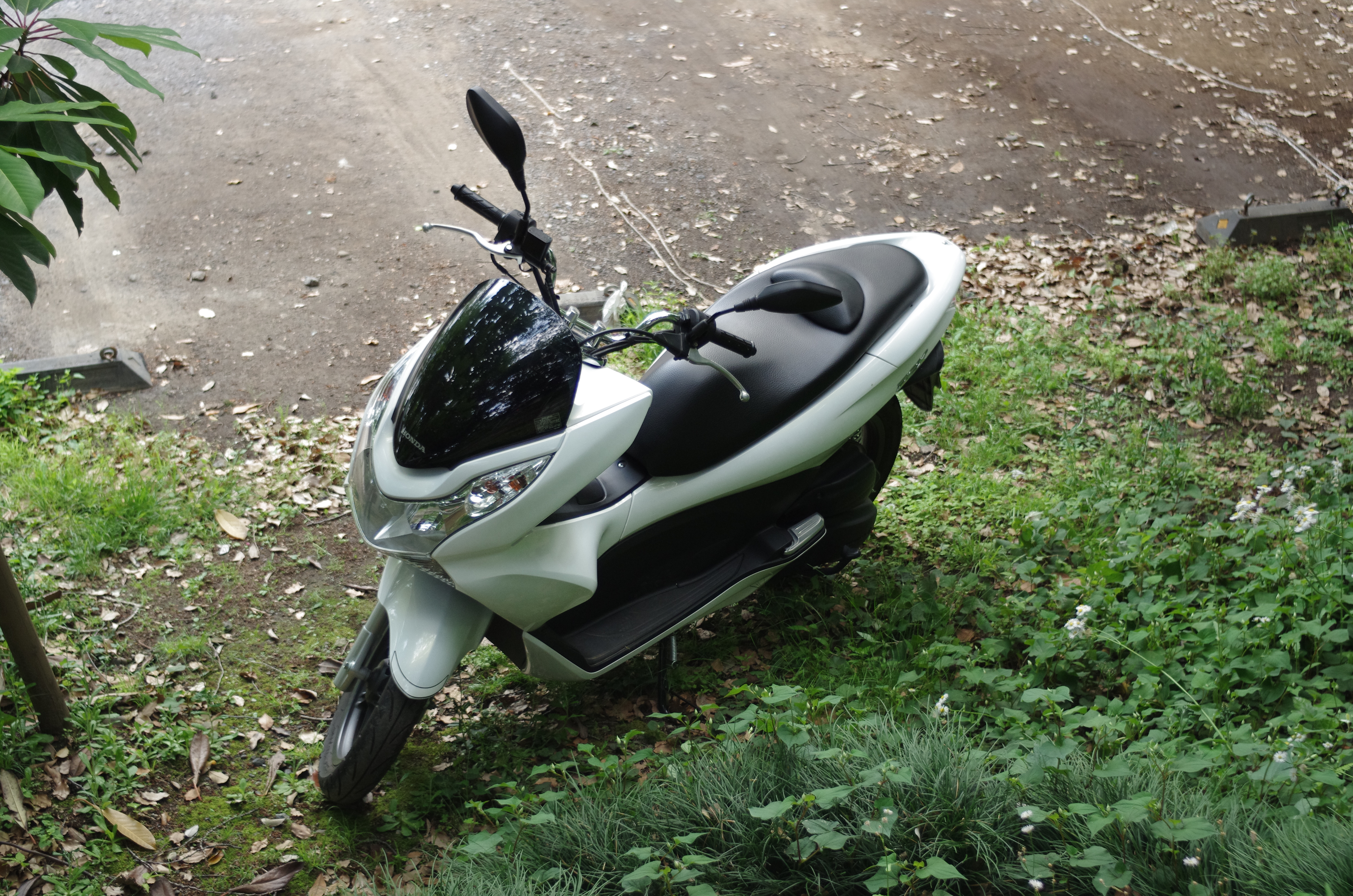 K-5 IIs / smc PENTAX M 40mm F2.8 / 約11.8MB / 4,928×3,264 / 1/800秒 / F2.8 / 0EV / ISO800 / 絞り優先AE / WB：太陽光 / 40mm