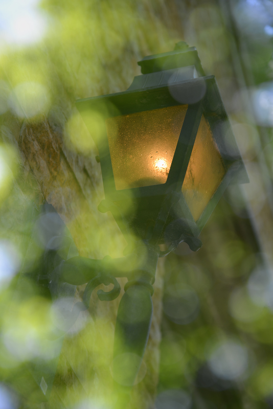 街灯と近くの木漏れ日を多重露出で撮影しました