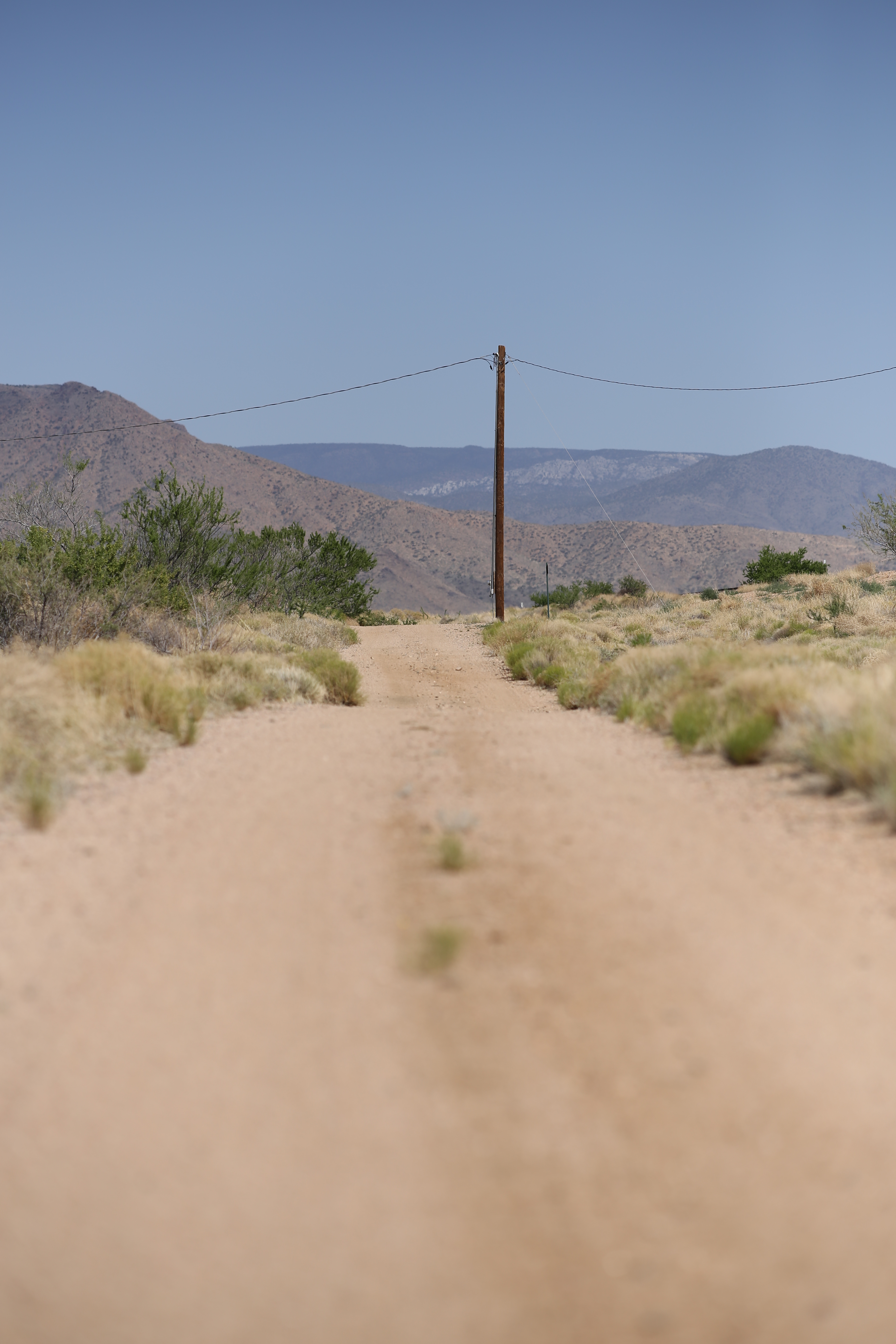 EOS 6D / Apo Sonnar T* 2/135 / 約3.9MB / 3,648×5,472 / 1/4,000秒 / F2.8 / 0EV / ISO100 / 絞り優先AE / WB：太陽光 / 135mm