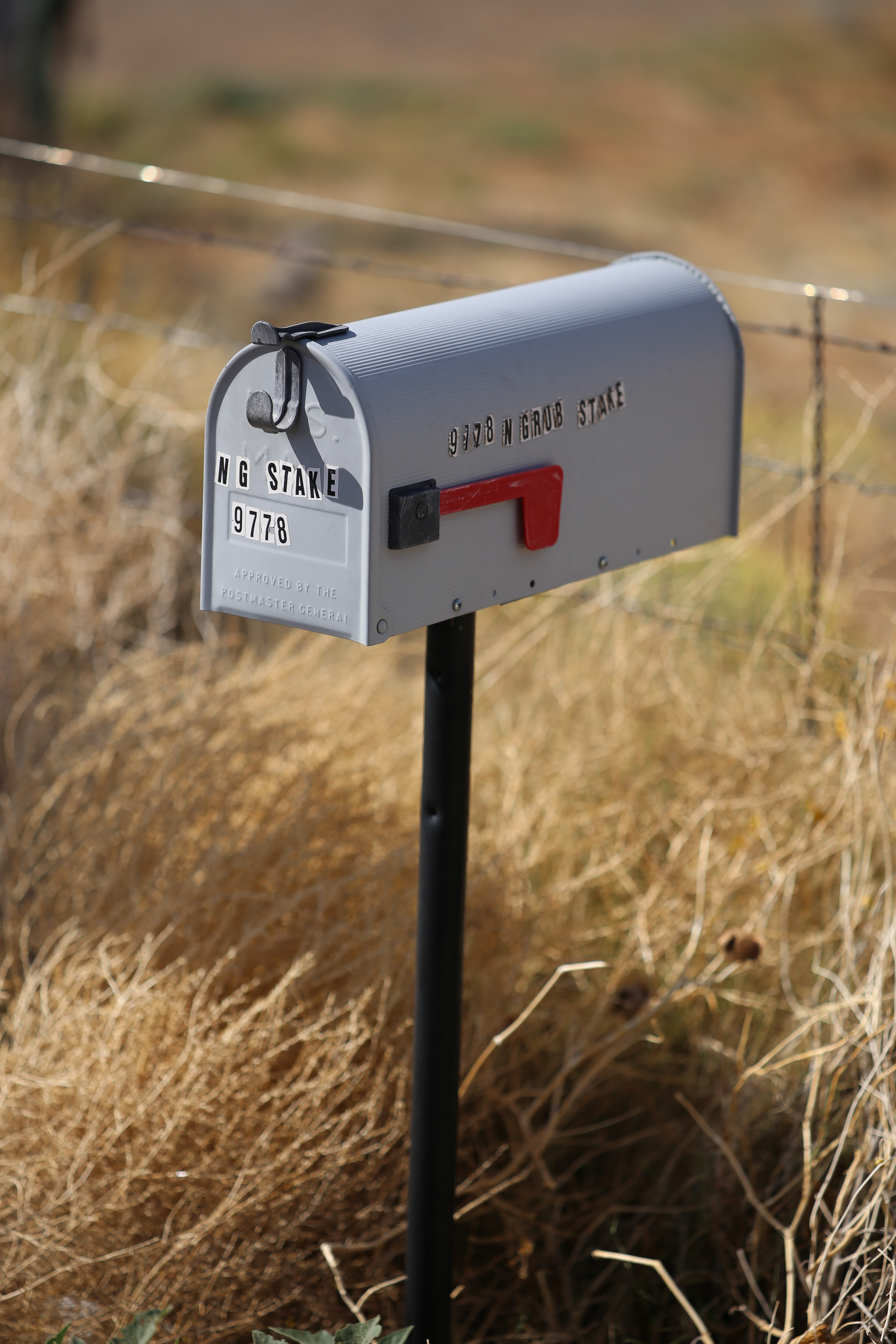 EOS 6D / Apo Sonnar T* 2/135 / 約4.3MB / 3,648×5,472 / 1/3,200秒 / F2.5 / 0EV / ISO100 / 絞り優先AE / WB：太陽光 / 135mm