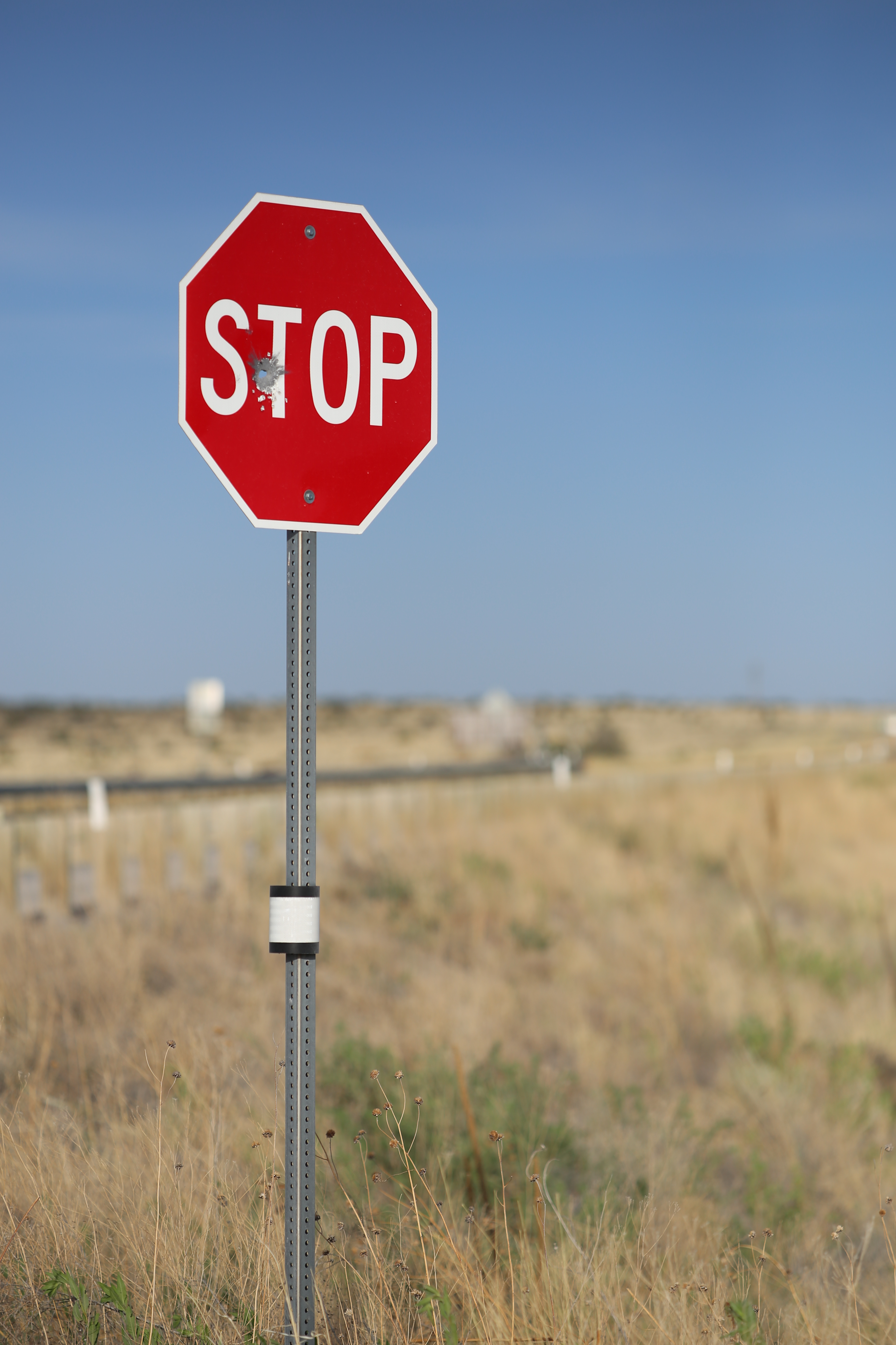 EOS 6D / Apo Sonnar T* 2/135 / 約4MB / 3,648×5,472 / 1/4,000秒 / F2.5 / -0.3EV / ISO100 / 絞り優先AE / WB：太陽光 / 135mm