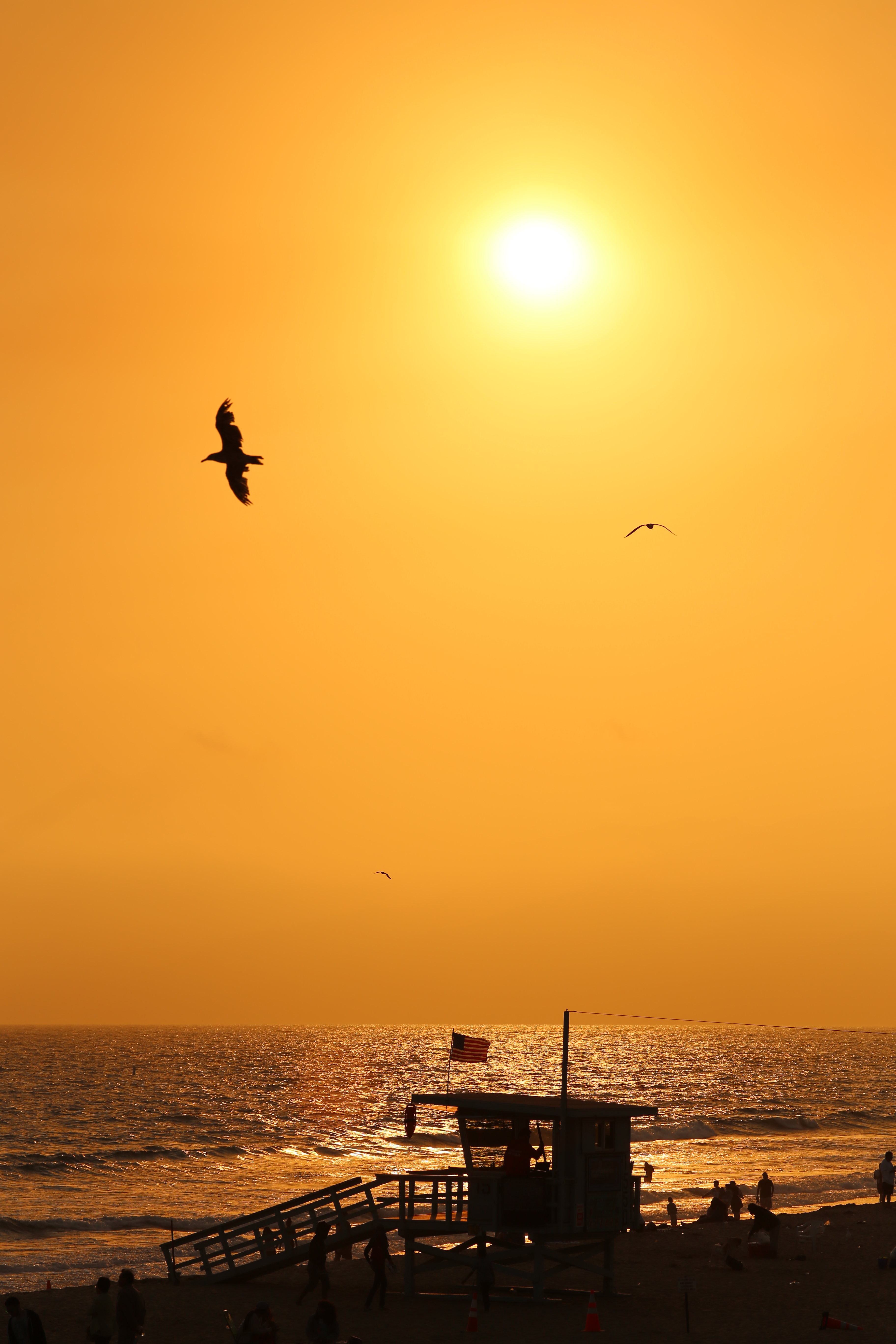 EOS 6D / Apo Sonnar T* 2/135 / 約4.5MB / 3,648×5,472 / 1/1,600秒 / F7 / +0.3EV / ISO100 / 絞り優先AE / WB：太陽光 / 135mm