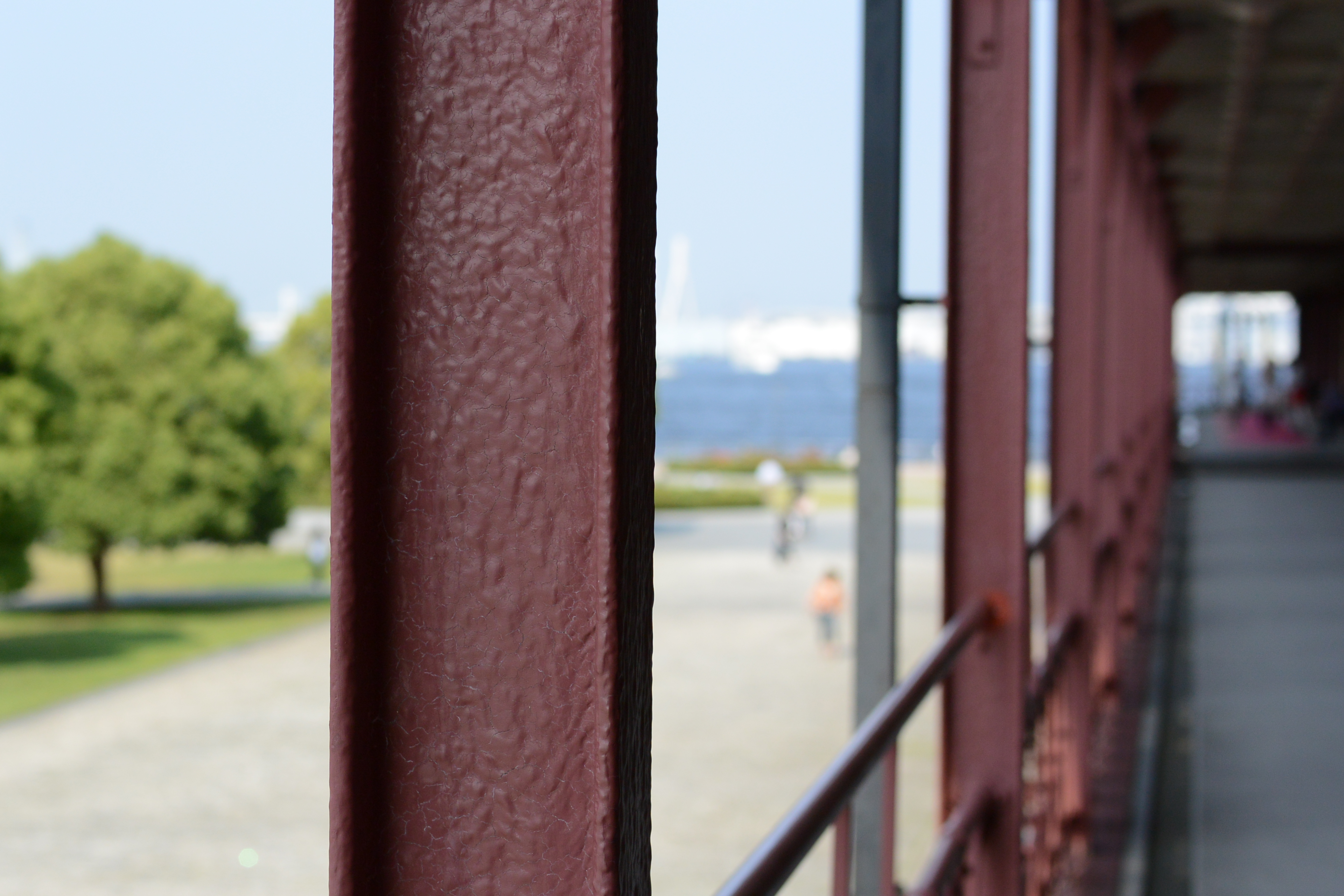 Nikon 1 V2 / 1 NIKKOR 32mm F1.2 / 約4.6MB / 4,608×3,072 / 1/2,000秒 / F2.8 / 0EV / ISO160 / 絞り優先AE / WB：オート / 32mm