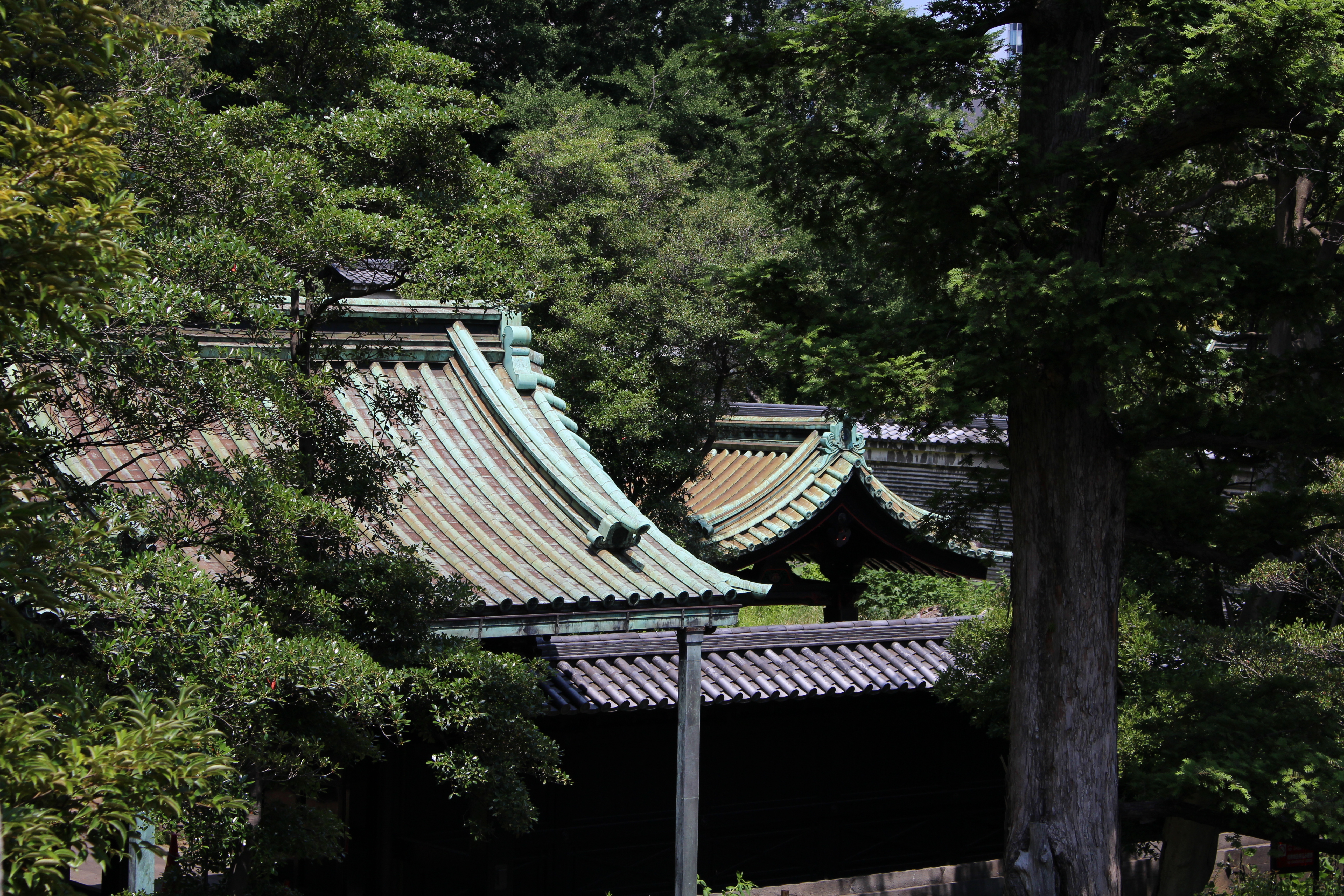 EOS Kiss X7 / EF-S 18-55mm F3.5-5.6 IS STM / 約9.4MB / 5,184×3,456 / 1/320秒 / F8 / -0.7EV / ISO100 / 55mm