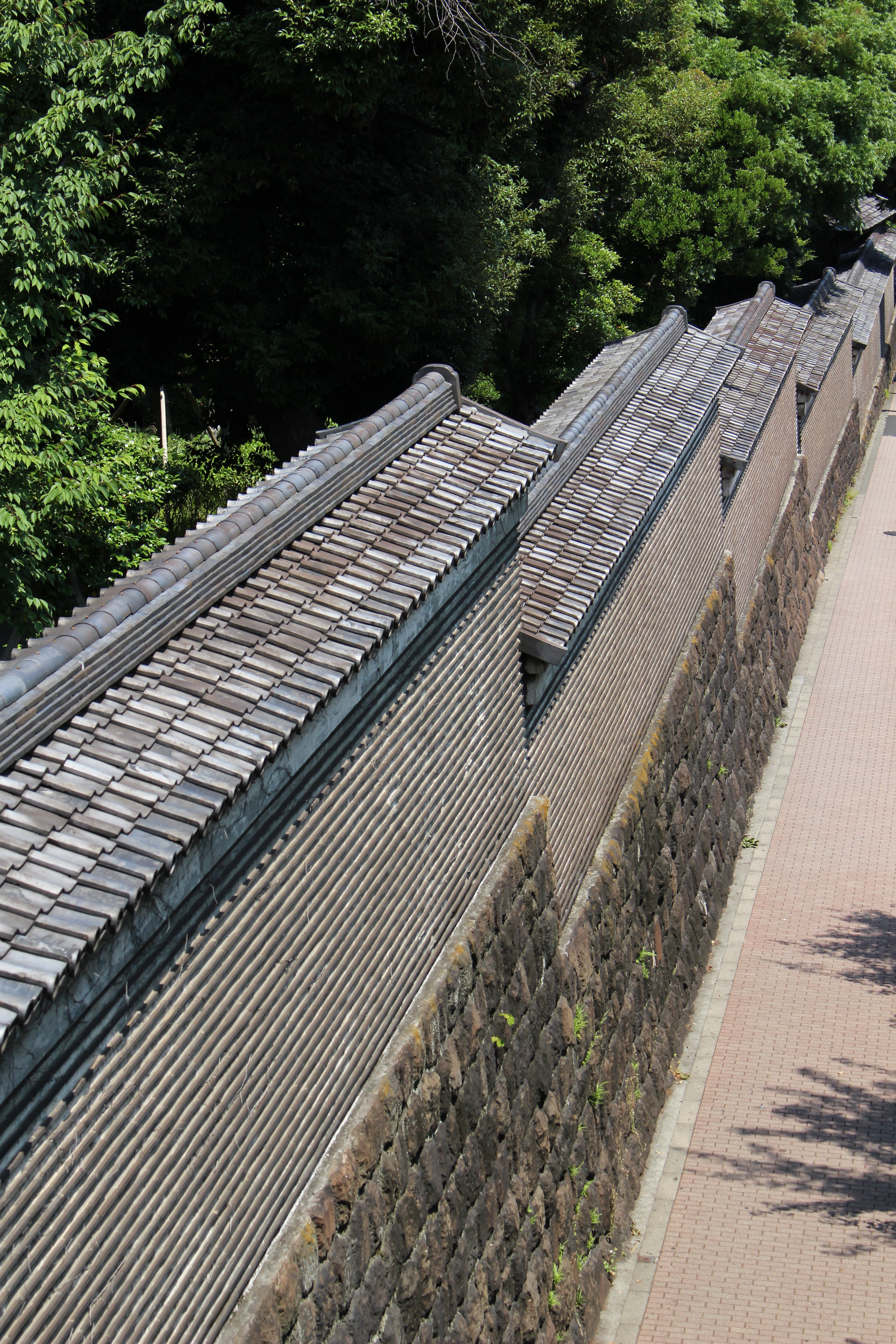 EOS Kiss X7 / EF-S 18-55mm F3.5-5.6 IS STM / 約9.4MB / 3,456×5,184 / 1/250秒 / F8 / -0.3EV / ISO100 / 55mm