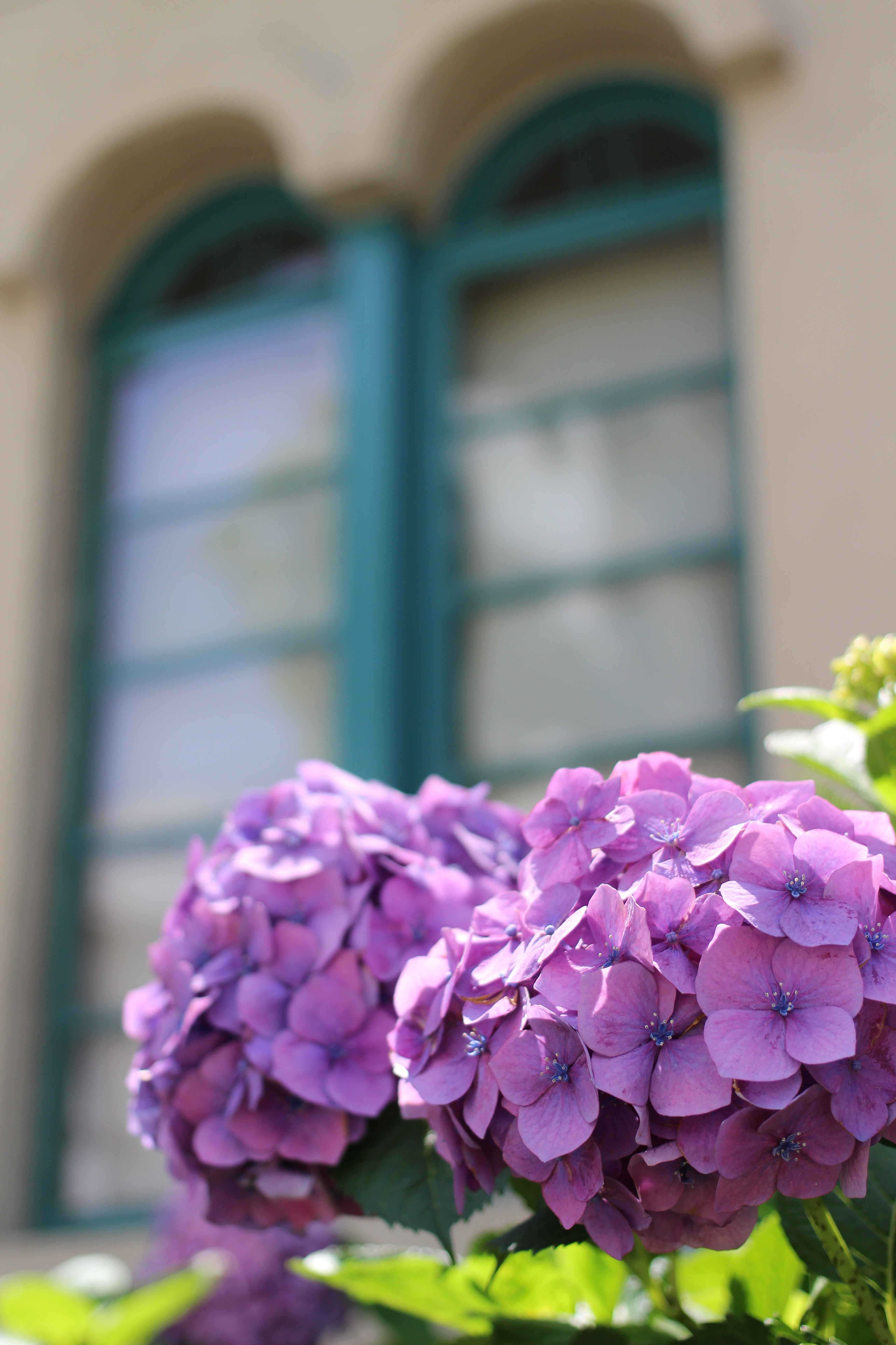 EOS Kiss X7 / EF 40mm F2.8 STM / 約4.8MB / 3,456×5,184 / 1/640秒 / F2.8 / +0.7EV / ISO100 / 40mm