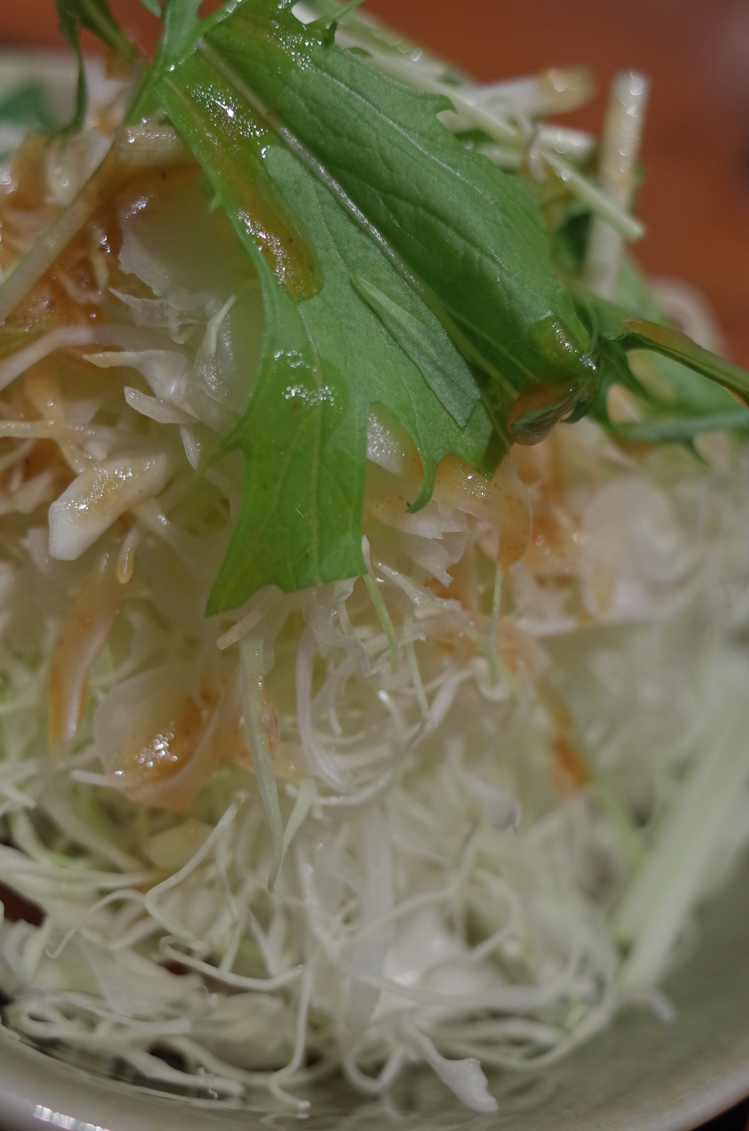 料理写真その2。キャベツの千切り。これは、比較的みずみずしく撮れました。35mmクロップモードで、絞り開放にしたのが功を奏したようです。GR / 約3.7MB / 2,608×3,936 / 1/160秒 / F2.8 / -0.3EV / ISO400 / 絞り優先AE / WB：オート / 18.3mm