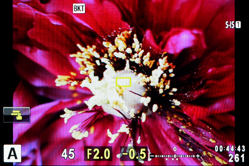 拡大枠AFを搭載し、選択したポイントを5～14倍の拡大率で表示できる。拡大枠の位置はタッチで自由に移動できる。