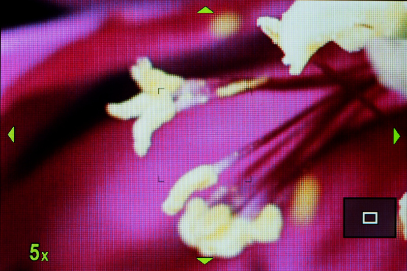 拡大枠AFで選択したポイントを拡大したまま、さらに中央部分をAFポイントにする「スーパースポットAF」が搭載された。これまでにない極小のAFポイントで精密なピント合わせが可能である。