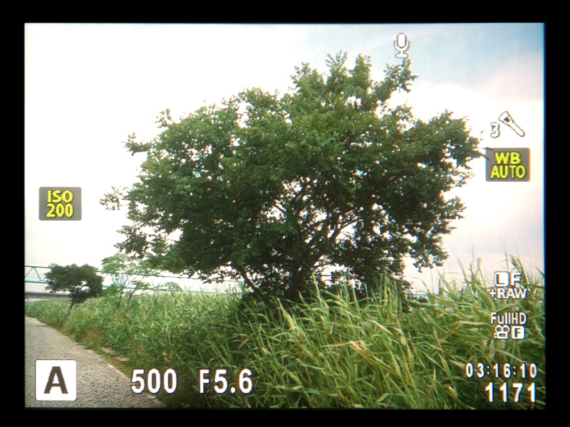 【参考】「VF-4」（左）とOM-D E-M5（右）の内蔵EVFを見比べてみた。144万ドット、倍率1.15倍のOM-D E-M5に比べると、視認性の向上は明らかである。