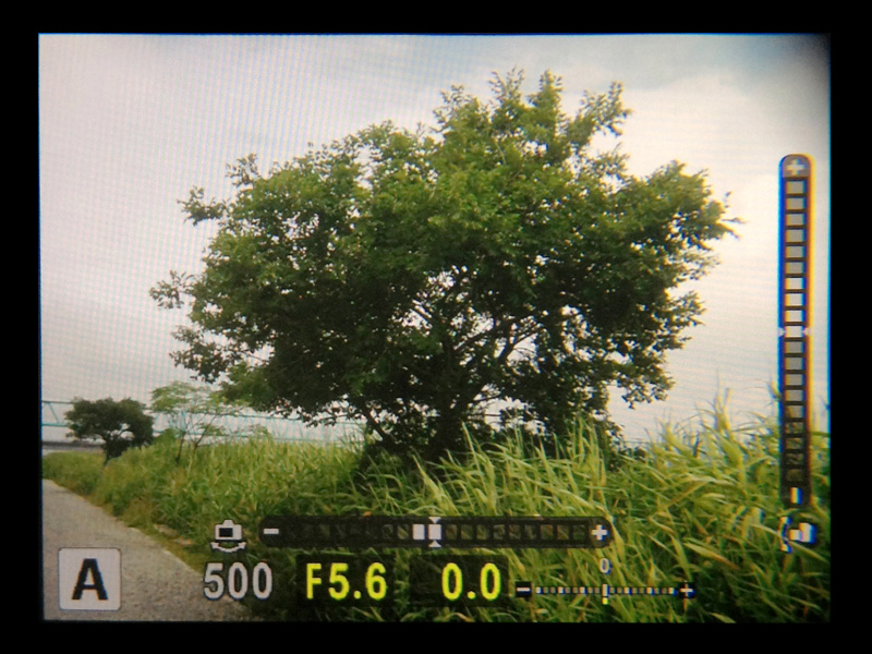 【参考】「VF-4」（左）とOM-D E-M5（右）の内蔵EVFを見比べてみた。144万ドット、倍率1.15倍のOM-D E-M5に比べると、視認性の向上は明らかである。