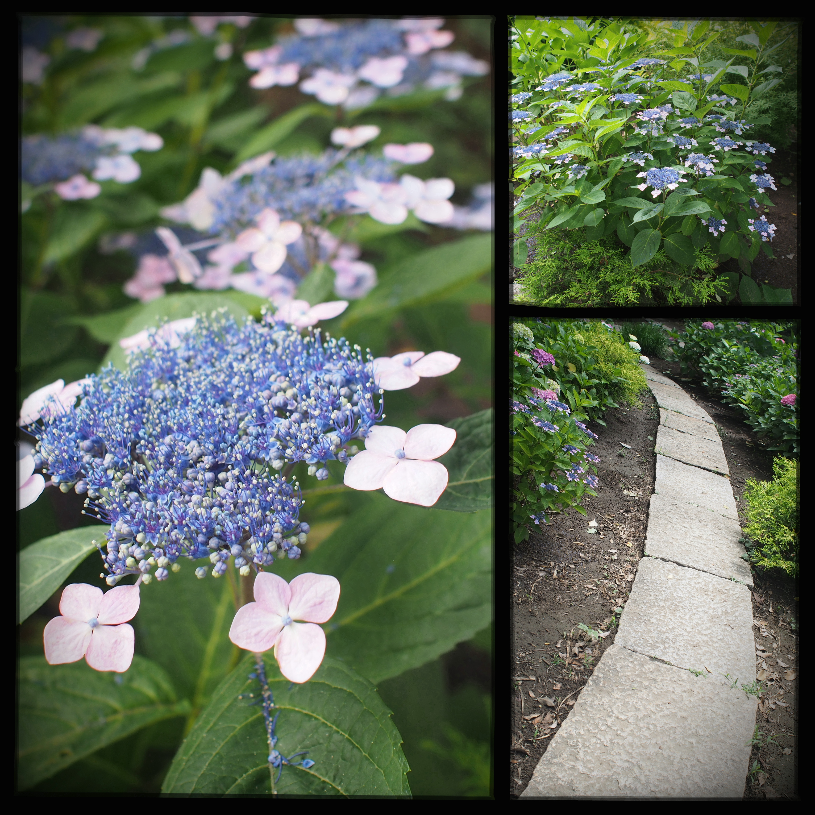 ひとつのシーンを複数視点で切り取り一枚の写真にすることのできる「フォトストーリー」を搭載。E-P5には「スタンダード」と「ファンフレーム」の2種類のテーマが用意されている（クリックでオリジナルサイズを表示）。