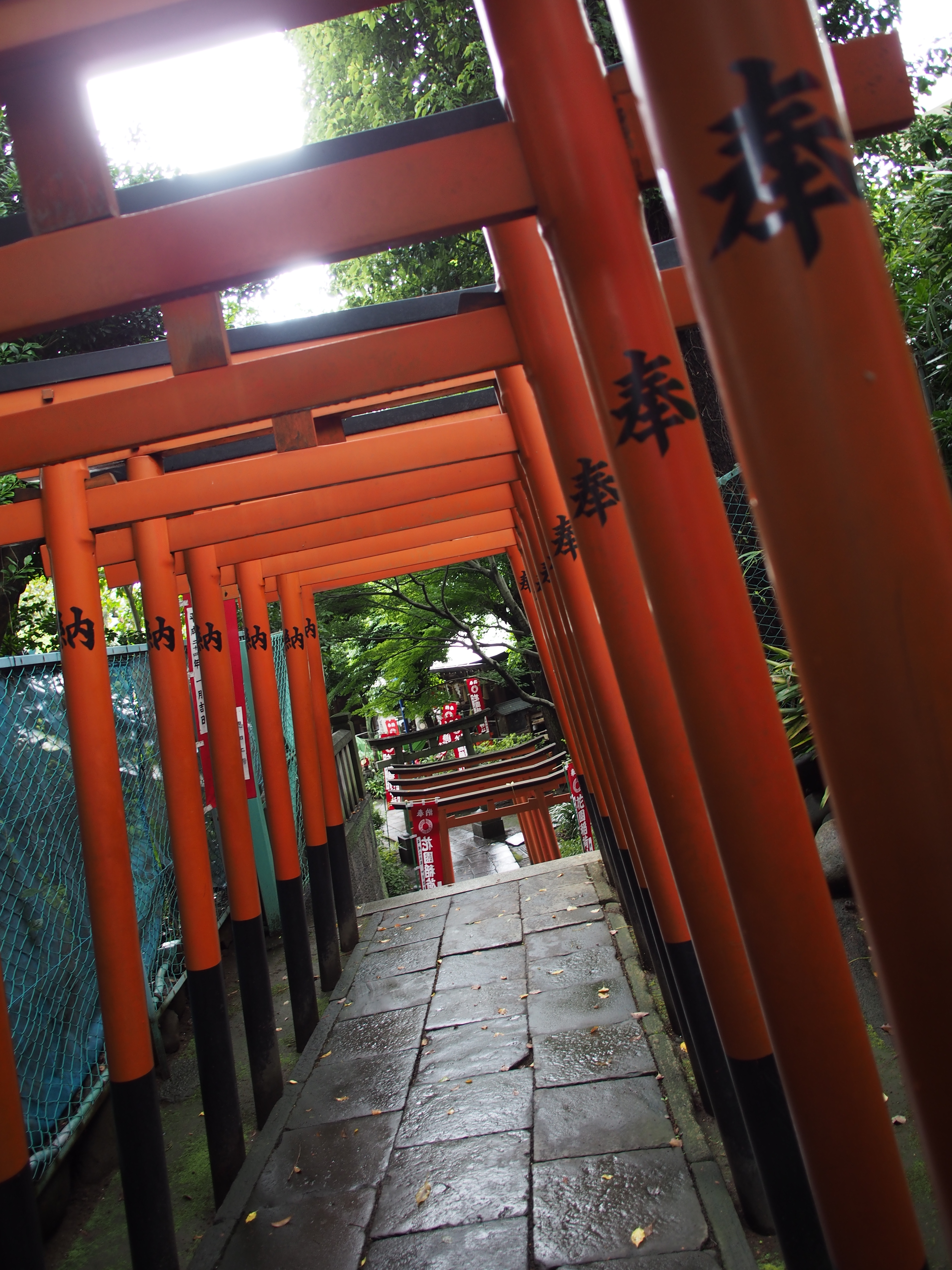 E-P5 / M.ZUIKO DIGITAL ED 12mm F2 / 約6.2MB / 3,456×4,608 / 1/100秒 / F2 / -0.7EV / ISO200 / 12mm