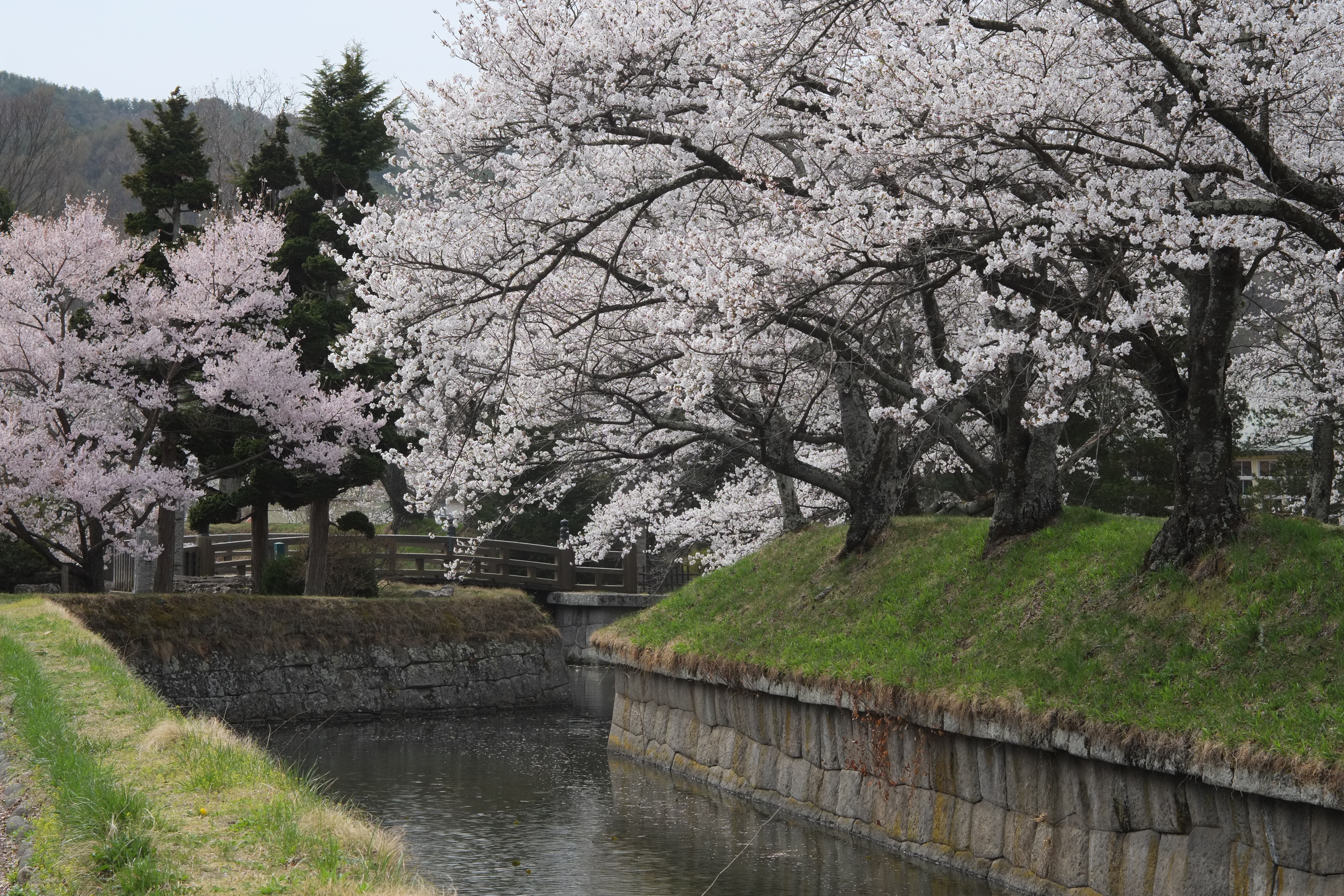 1/480秒 / 0EV / ISO400 / 絞り優先AE / WB：オート / 50mm