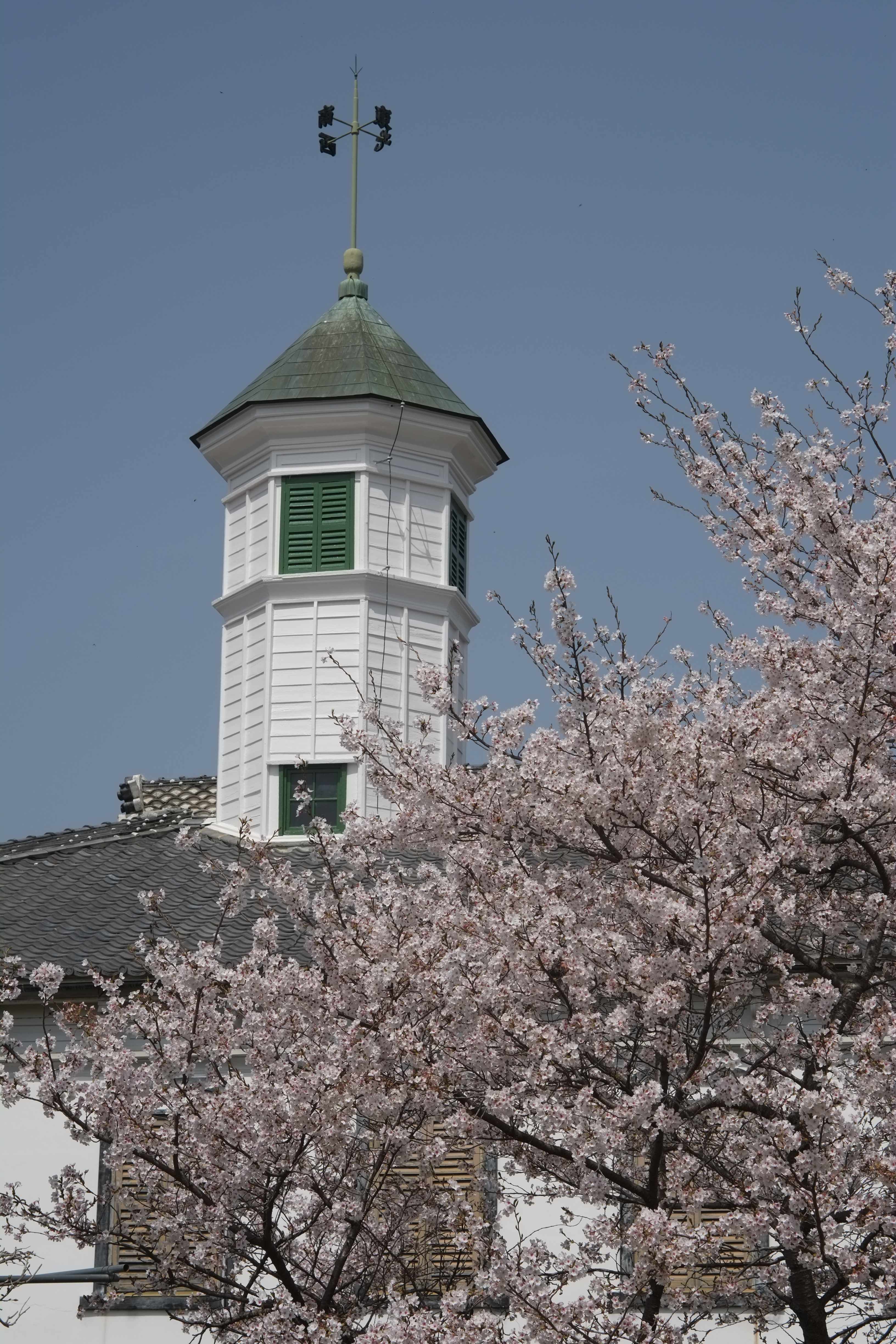 1/850秒 / 0EV / ISO200 / 絞り優先AE / WB：オート / 50mm