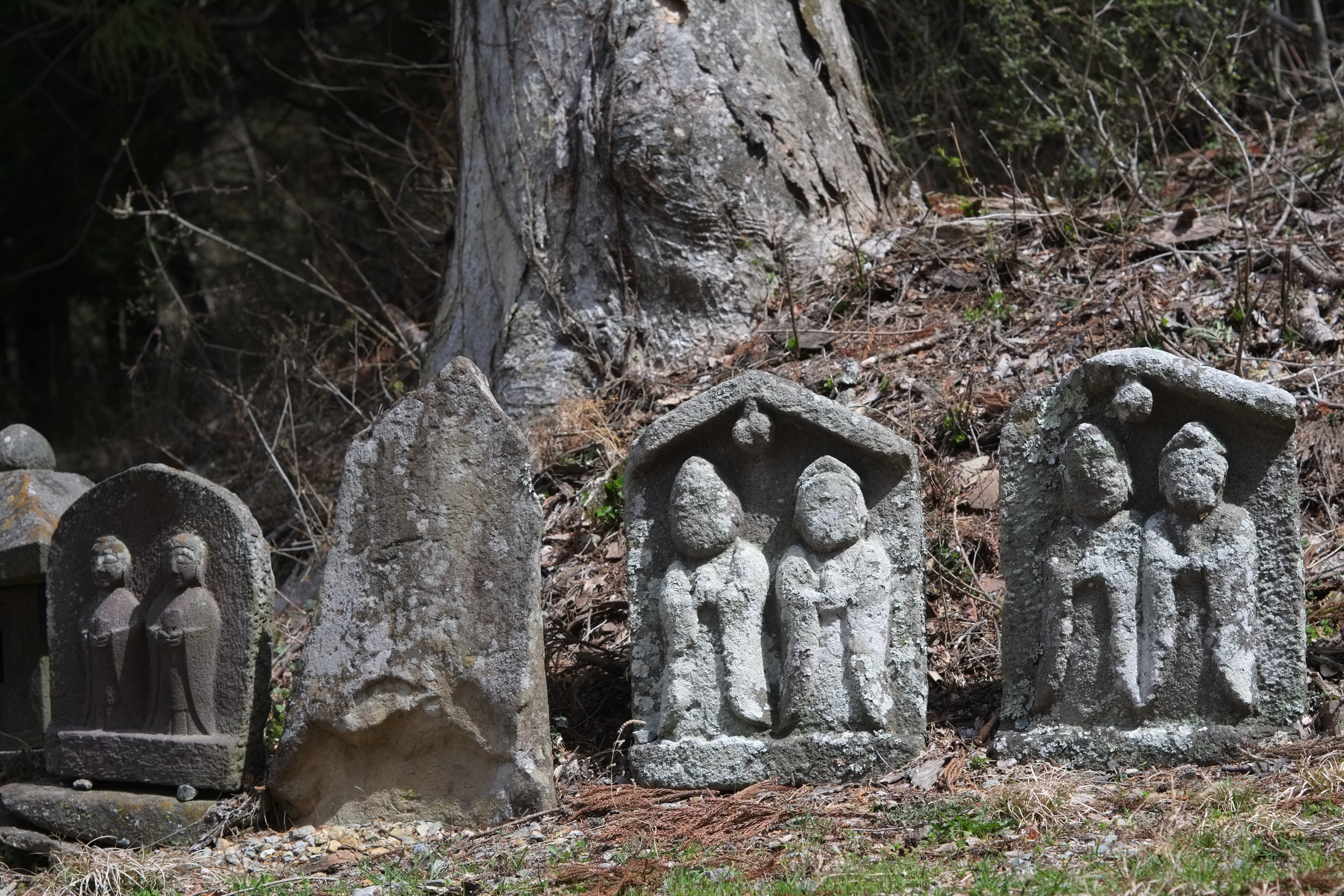 1/450秒 / -0.7EV / ISO200 / 絞り優先AE / WB：オート / 50mm